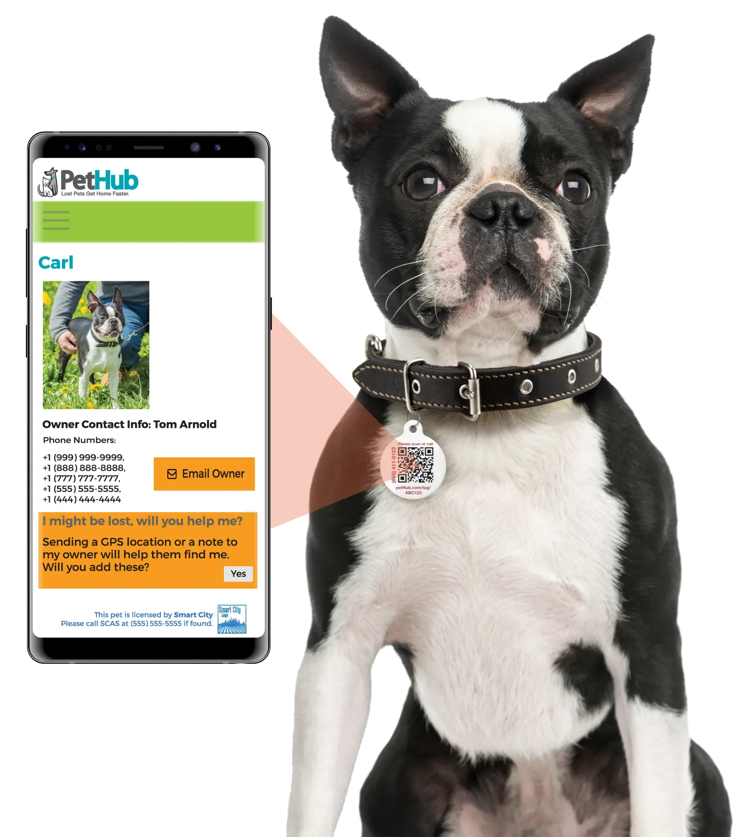 PetHub QR Pet ID Tag – Classic Aluminum PetHub