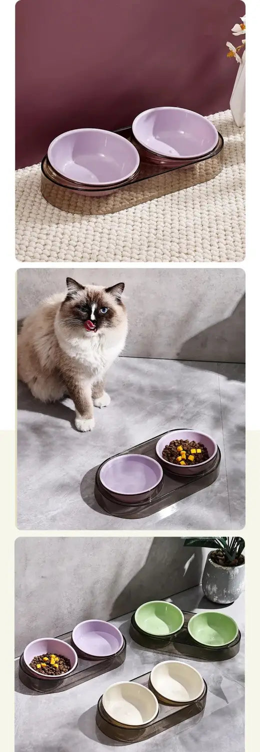 Transparent Cat Food Bowl Pet Bowl Dog Bowl Drinking Eating Eating Double Bowl Pet Supplies