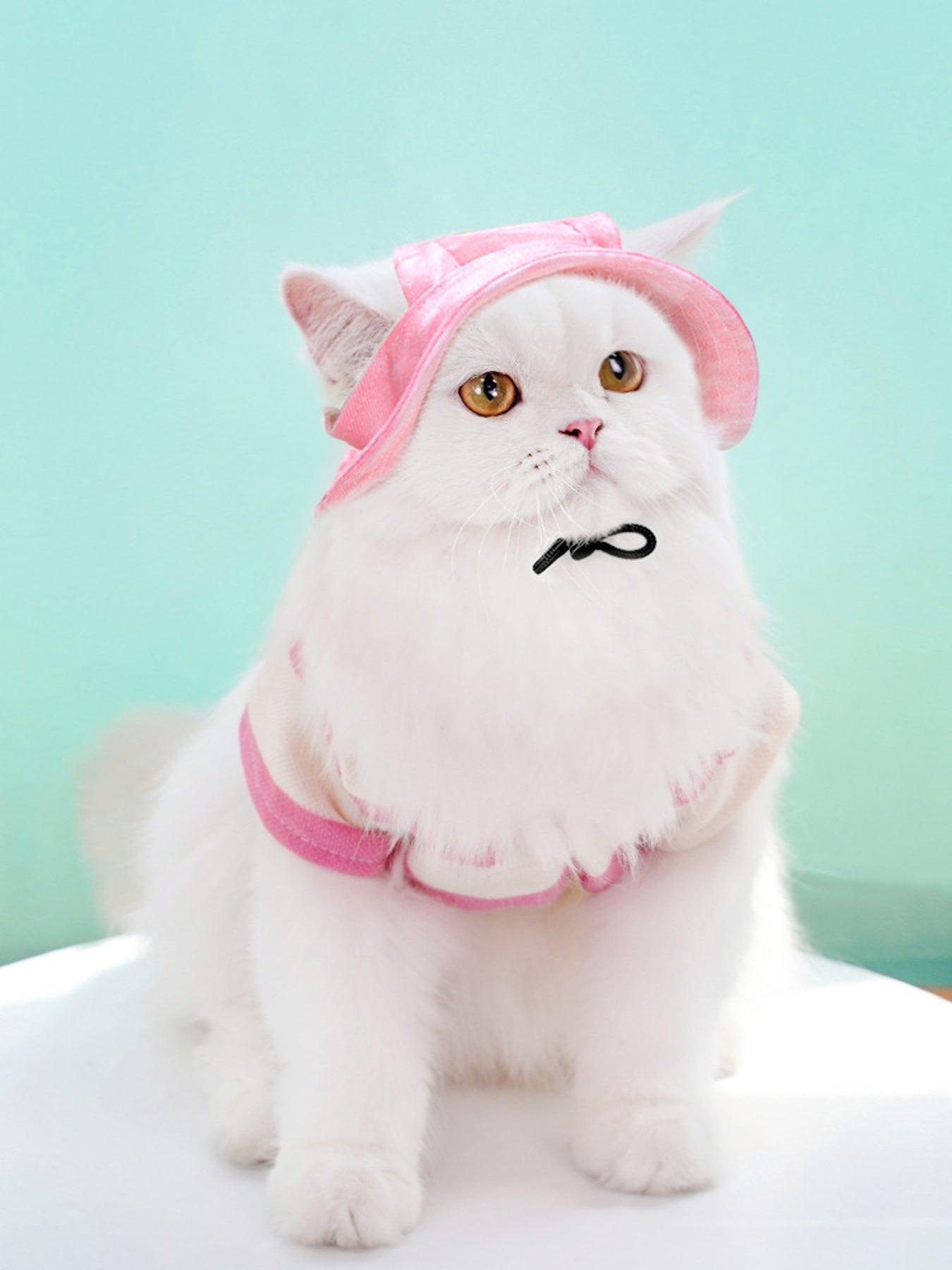 Adjustable Pet Visor Hat - FloofChonk