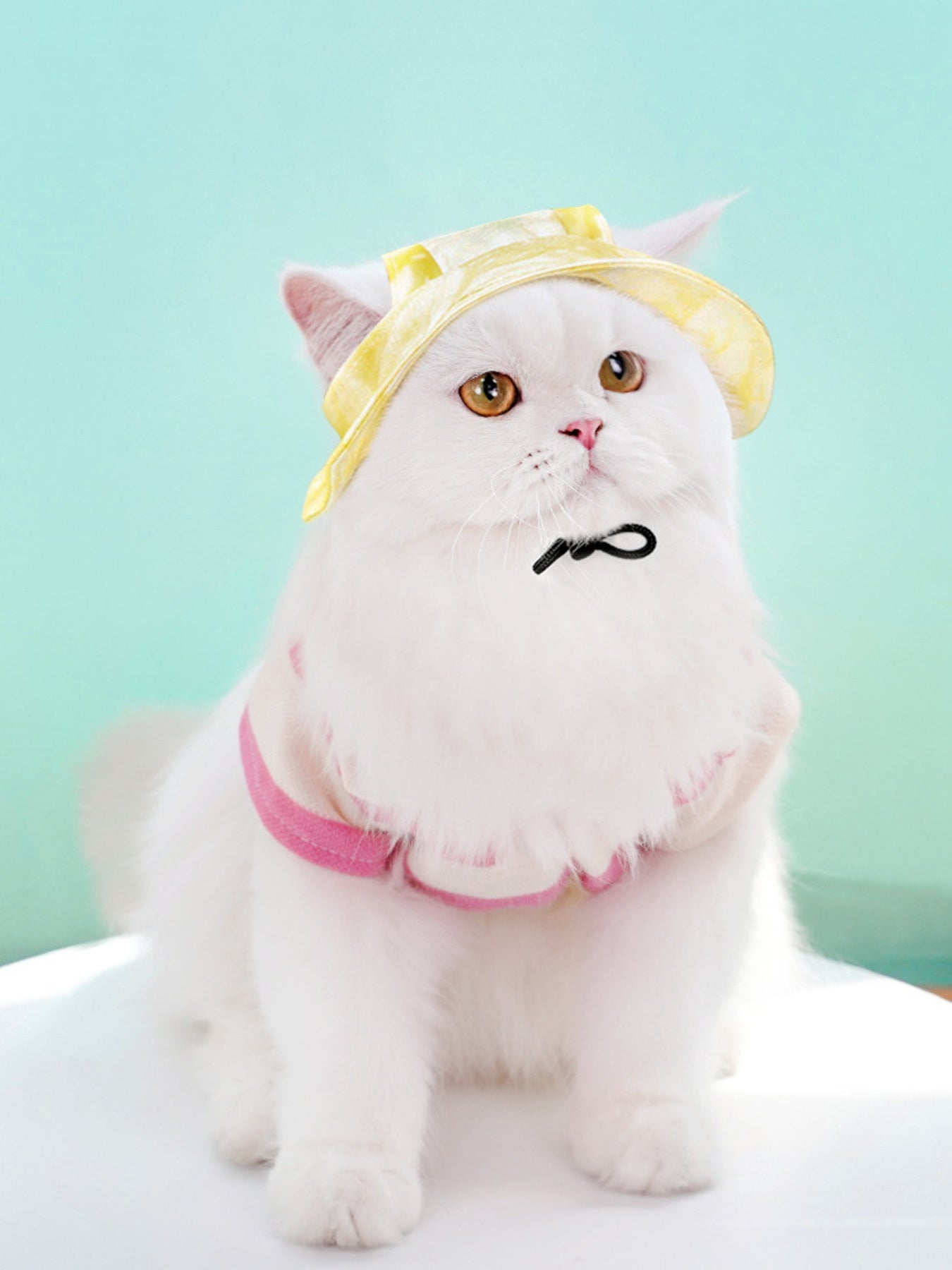 Adjustable Pet Visor Hat - FloofChonk