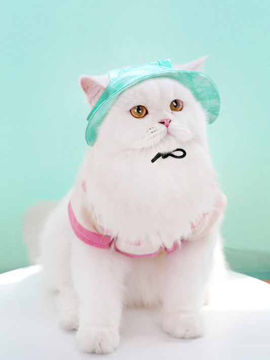 Adjustable Pet Visor Hat - FloofChonk