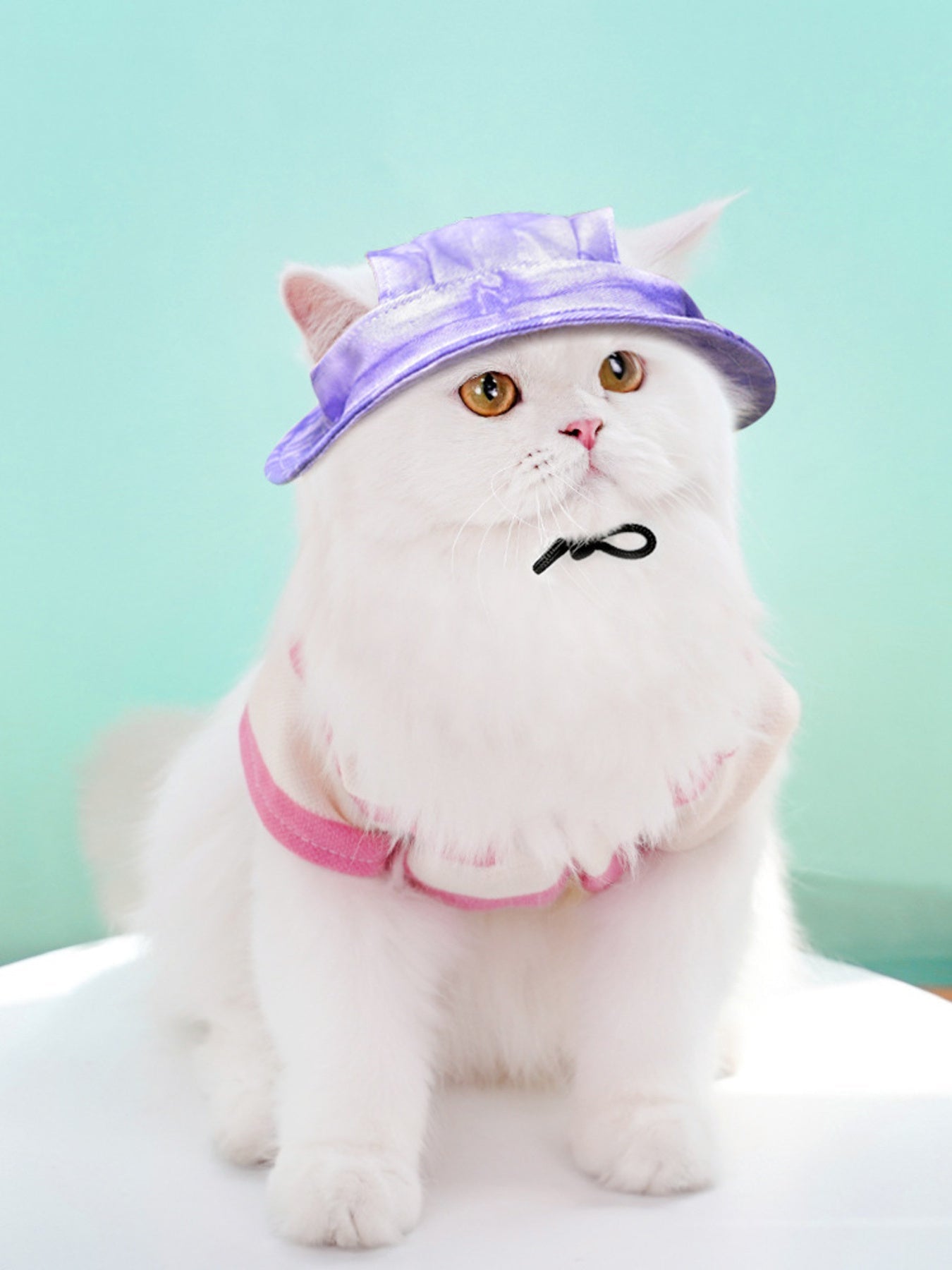 Adjustable Pet Visor Hat - FloofChonk