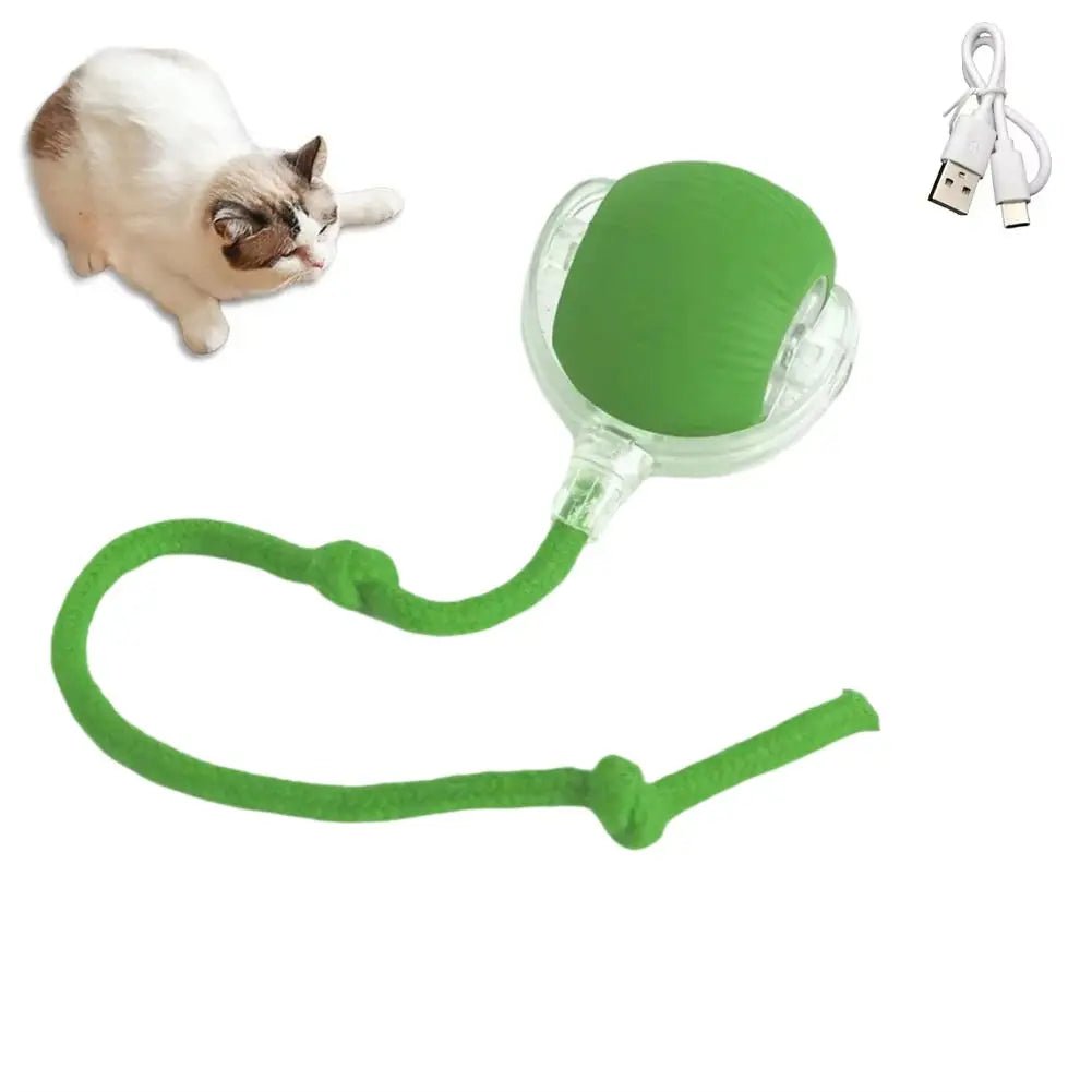 Cat Interactive Ball Toys Automatic Rolling Ball Faux Tail Rechargeable Smart Pet Electric Toy Dog Cat Training Imitate Mouse - FloofChonk