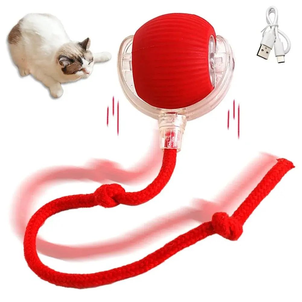 Cat Interactive Ball Toys Automatic Rolling Ball Faux Tail Rechargeable Smart Pet Electric Toy Dog Cat Training Imitate Mouse - FloofChonk