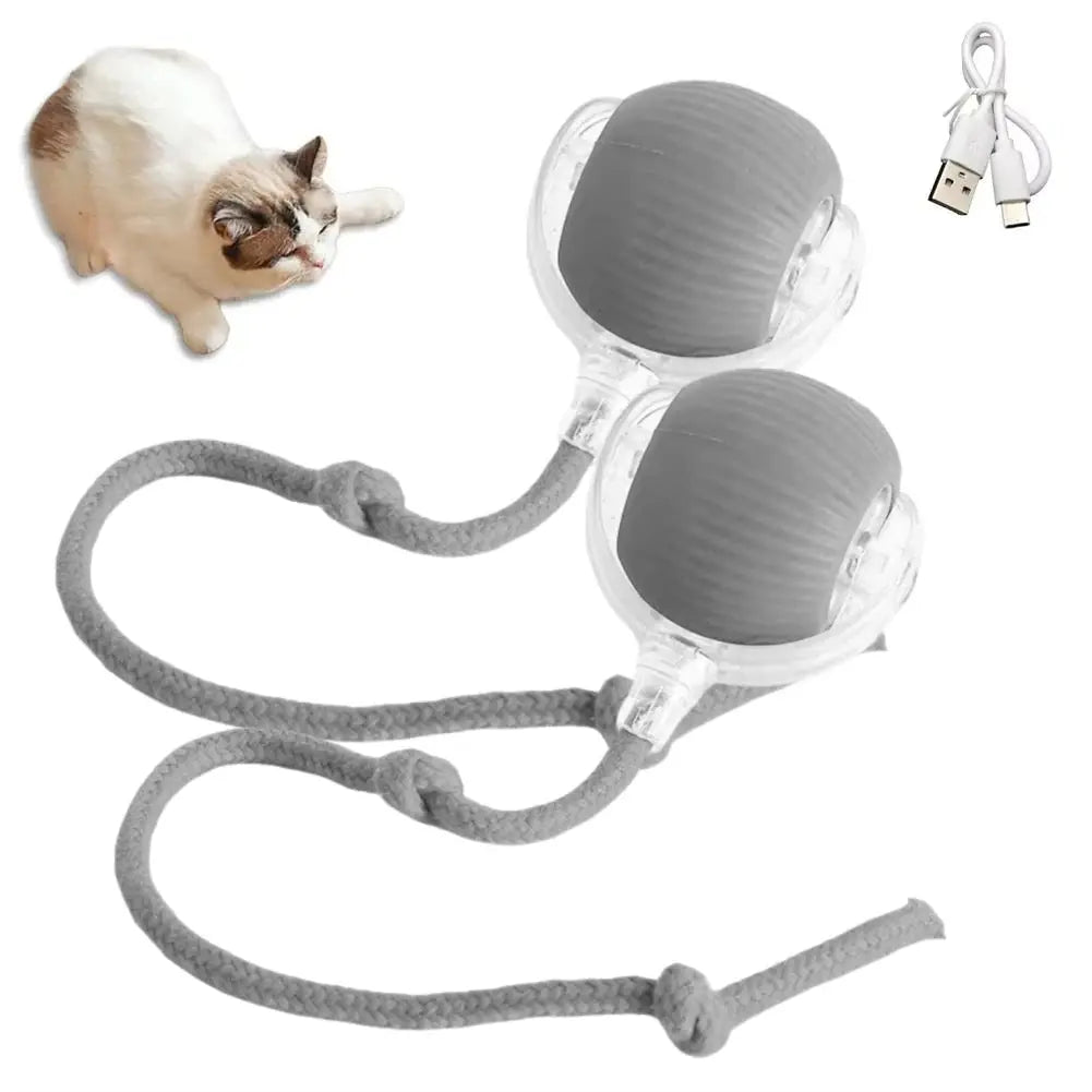 Cat Interactive Ball Toys Automatic Rolling Ball Faux Tail Rechargeable Smart Pet Electric Toy Dog Cat Training Imitate Mouse - FloofChonk