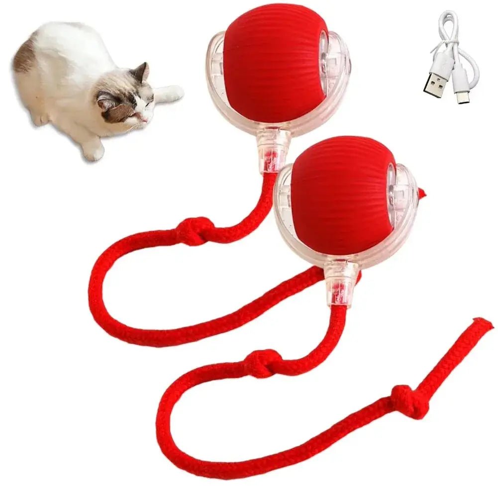 Cat Interactive Ball Toys Automatic Rolling Ball Faux Tail Rechargeable Smart Pet Electric Toy Dog Cat Training Imitate Mouse - FloofChonk