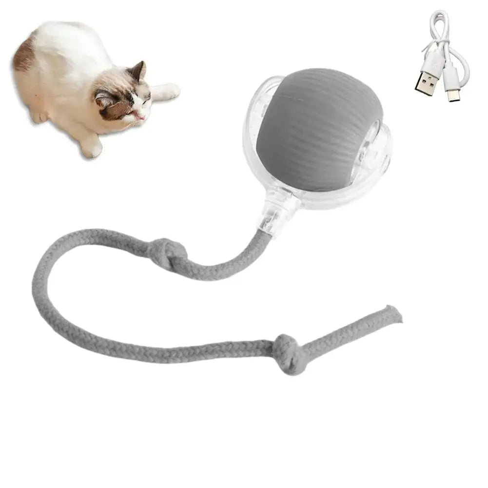 Cat Interactive Ball Toys Automatic Rolling Ball Faux Tail Rechargeable Smart Pet Electric Toy Dog Cat Training Imitate Mouse - FloofChonk