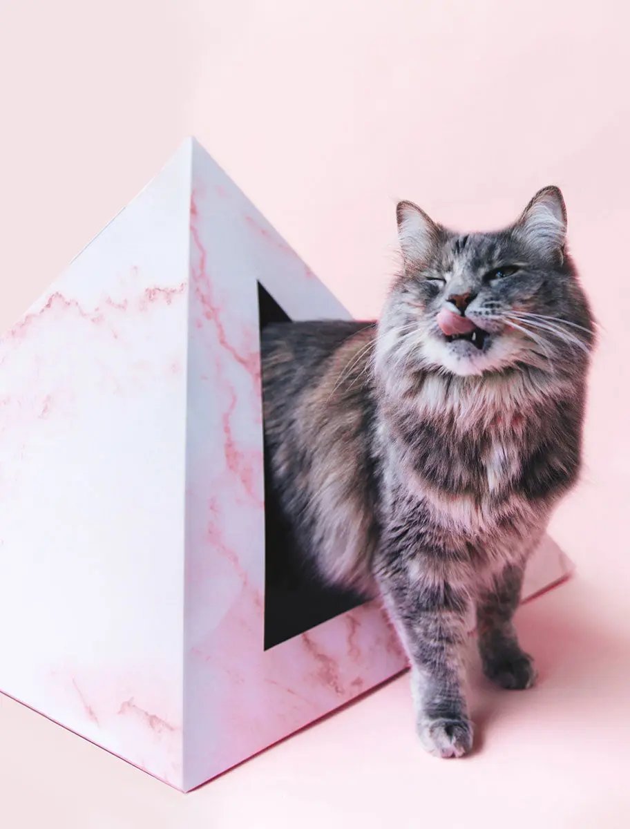 'Rose Quartz' Cardboard Cat Pyramid KittyKardboard