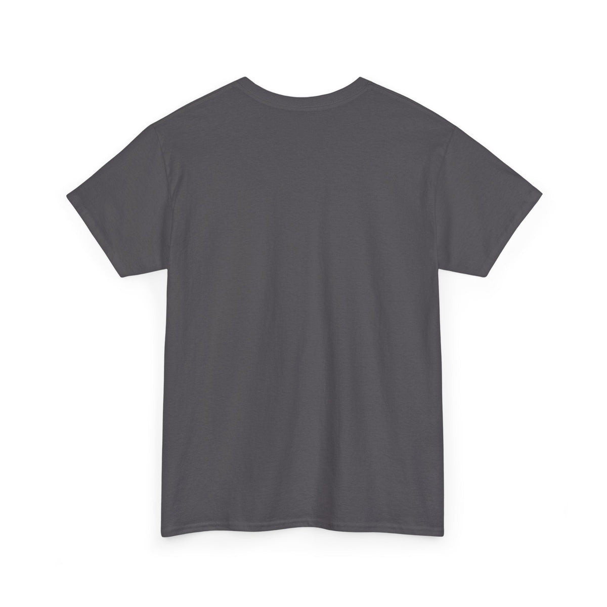 Cat T‑Shirt — "I've Discussed It With The Cat, It's A No." Retro Sunset - FloofChonk