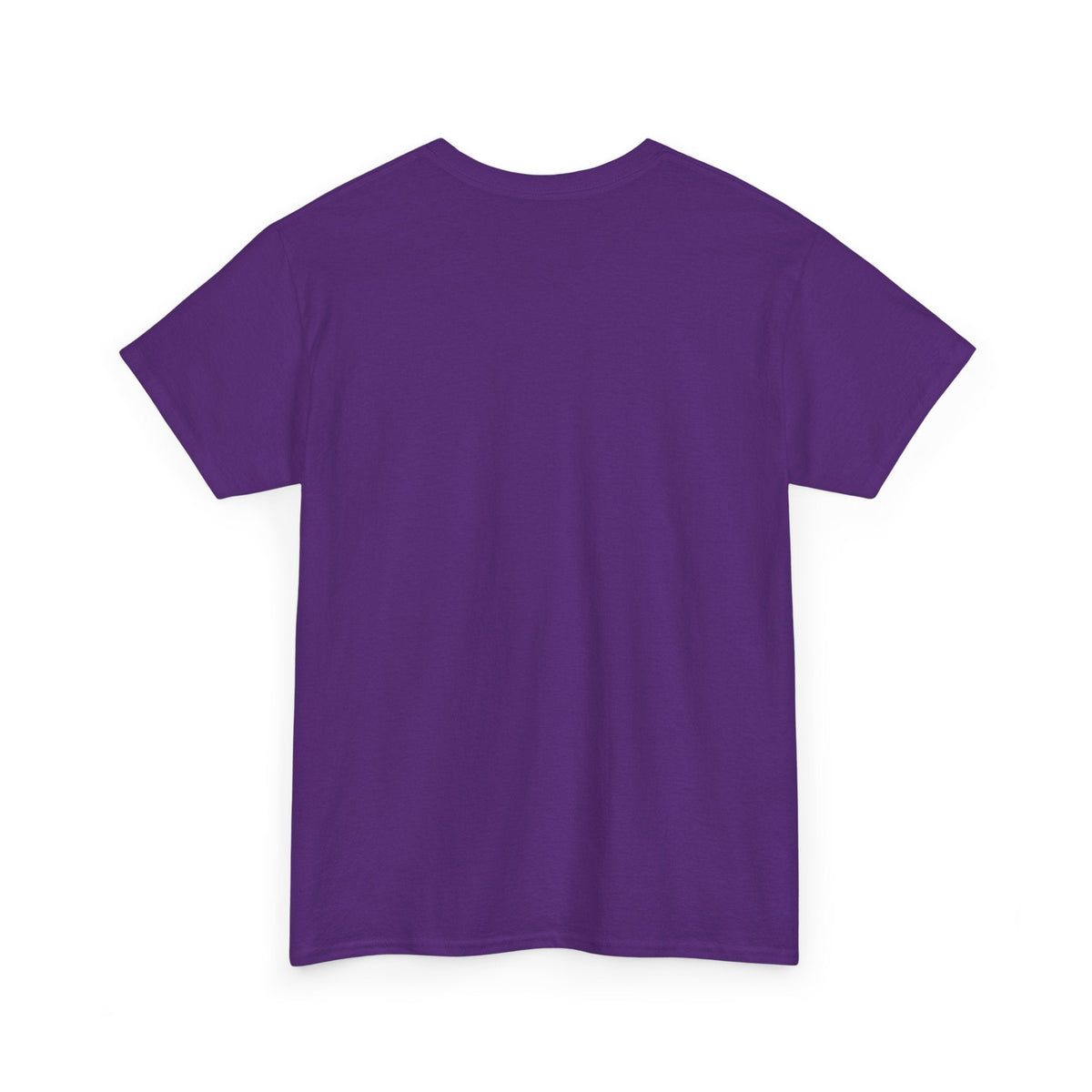 Cat T‑Shirt — "I've Discussed It With The Cat, It's A No." Retro Sunset - FloofChonk
