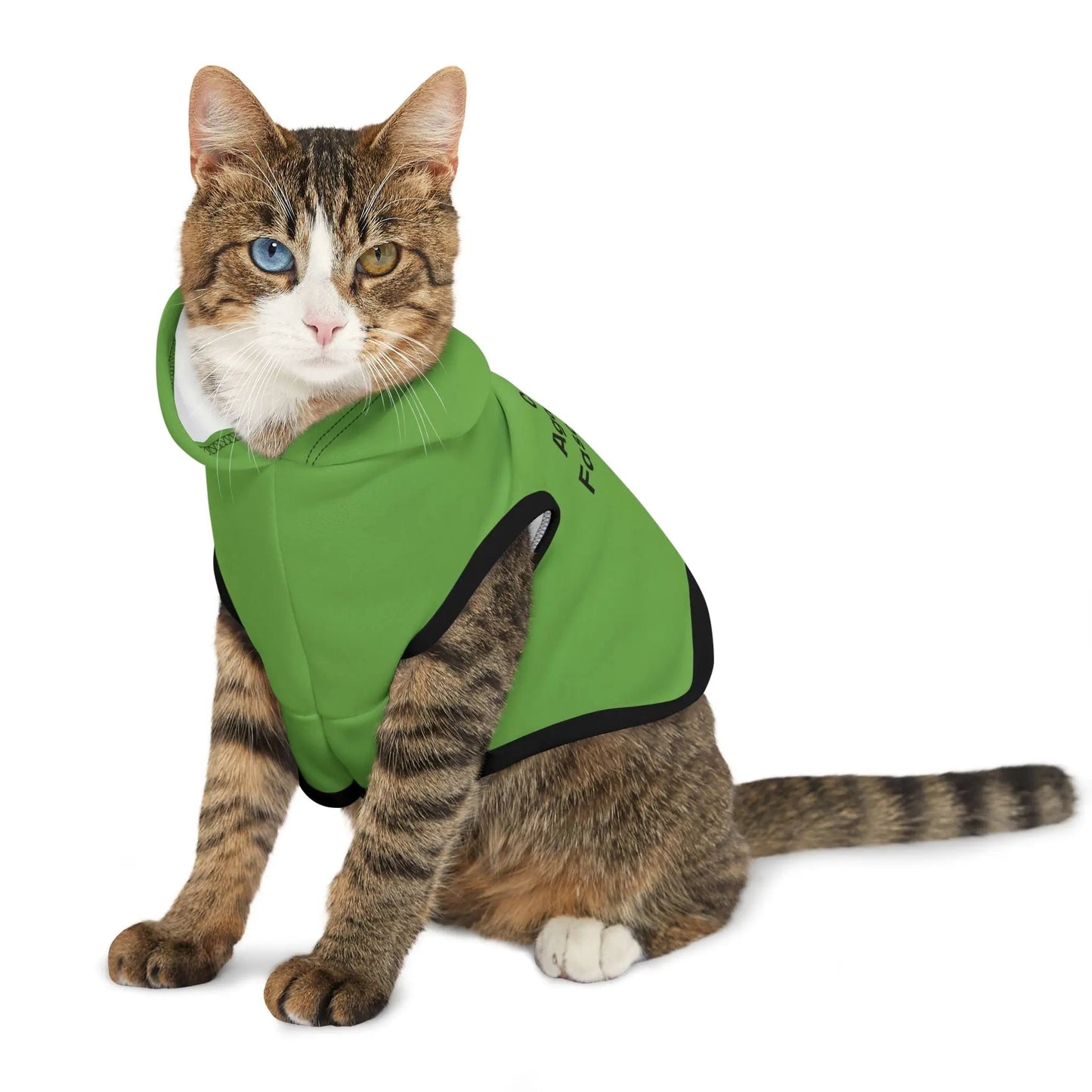 Cats Against Fascists Pet Hoodie - FloofChonk