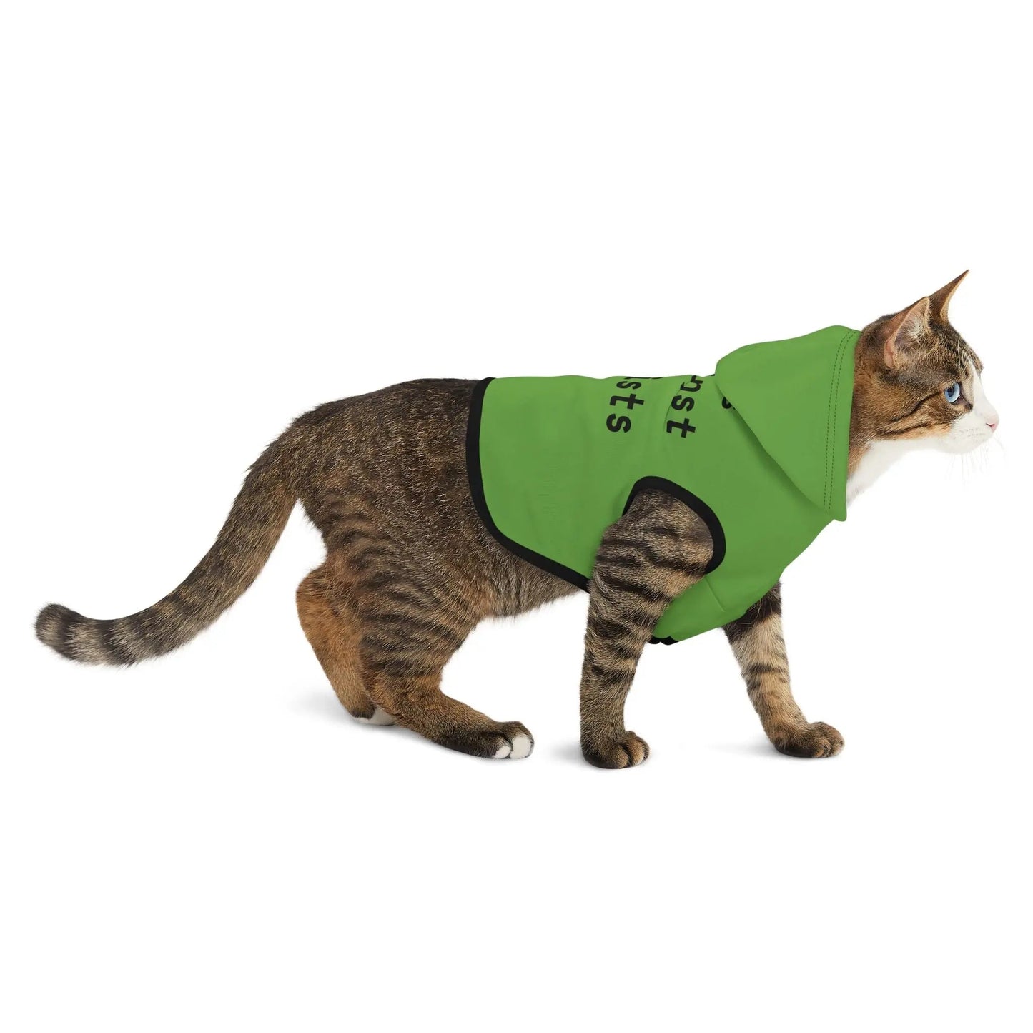 Cats Against Fascists Pet Hoodie - FloofChonk