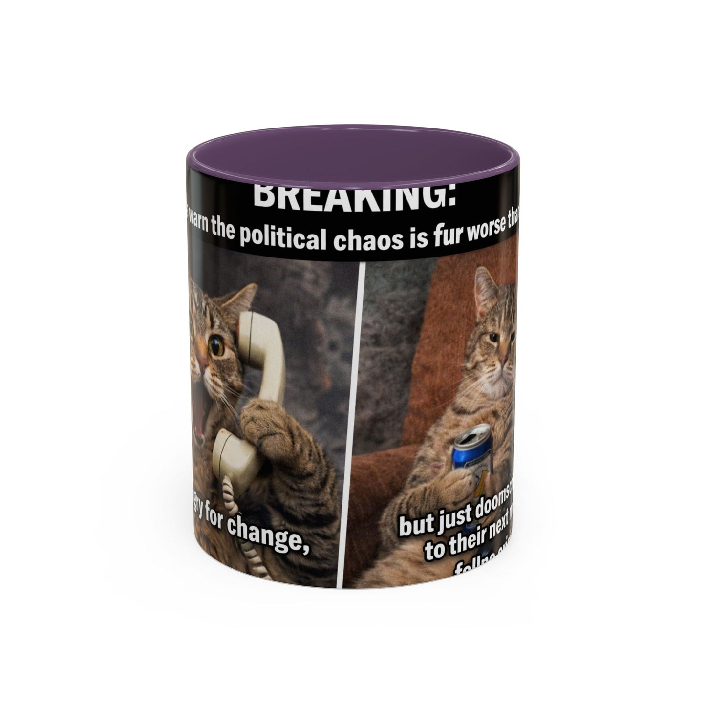 Coffee Mug - Funny Cat ‘Breaking: Politics Are Just Déjà Vu’ Meme Accent Mug (11/15oz) - FloofChonk