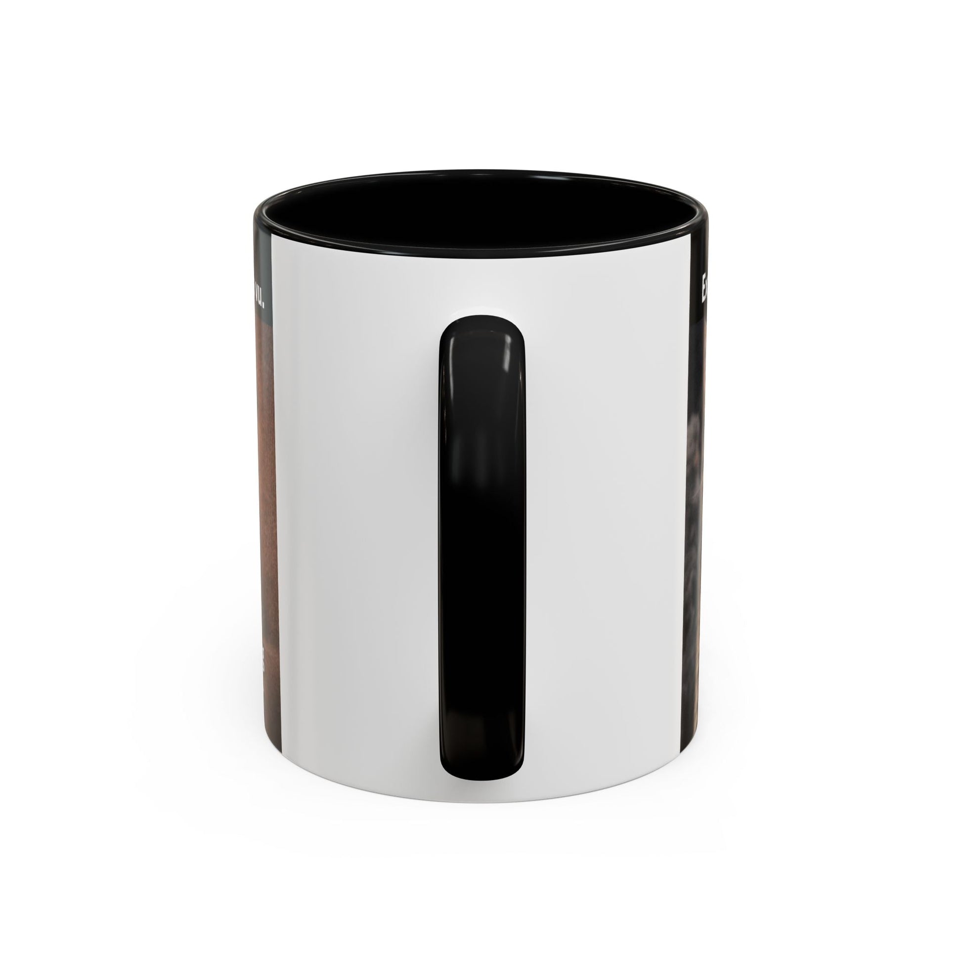 Coffee Mug - Funny Cat ‘Breaking: Politics Are Just Déjà Vu’ Meme Accent Mug (11/15oz) - FloofChonk