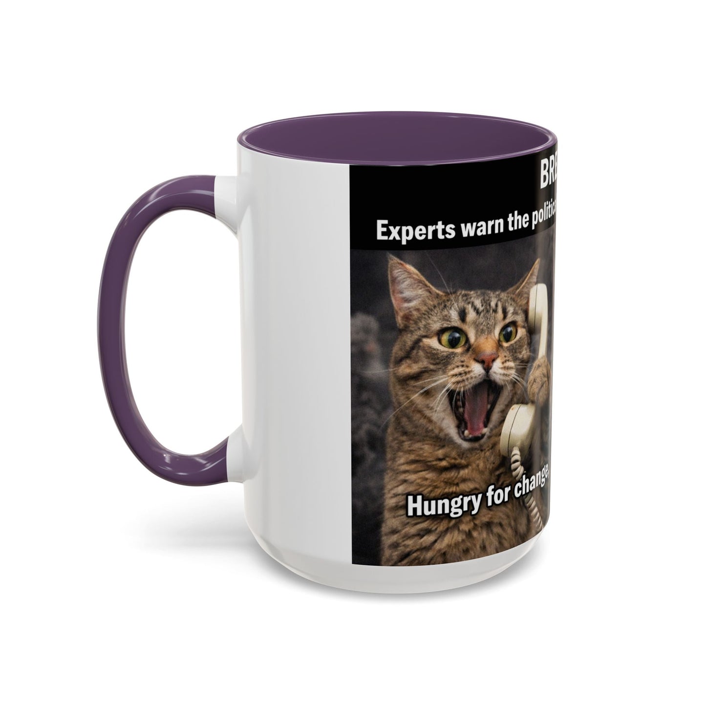 Coffee Mug - Funny Cat ‘Breaking: Politics Are Just Déjà Vu’ Meme Accent Mug (11/15oz) - FloofChonk