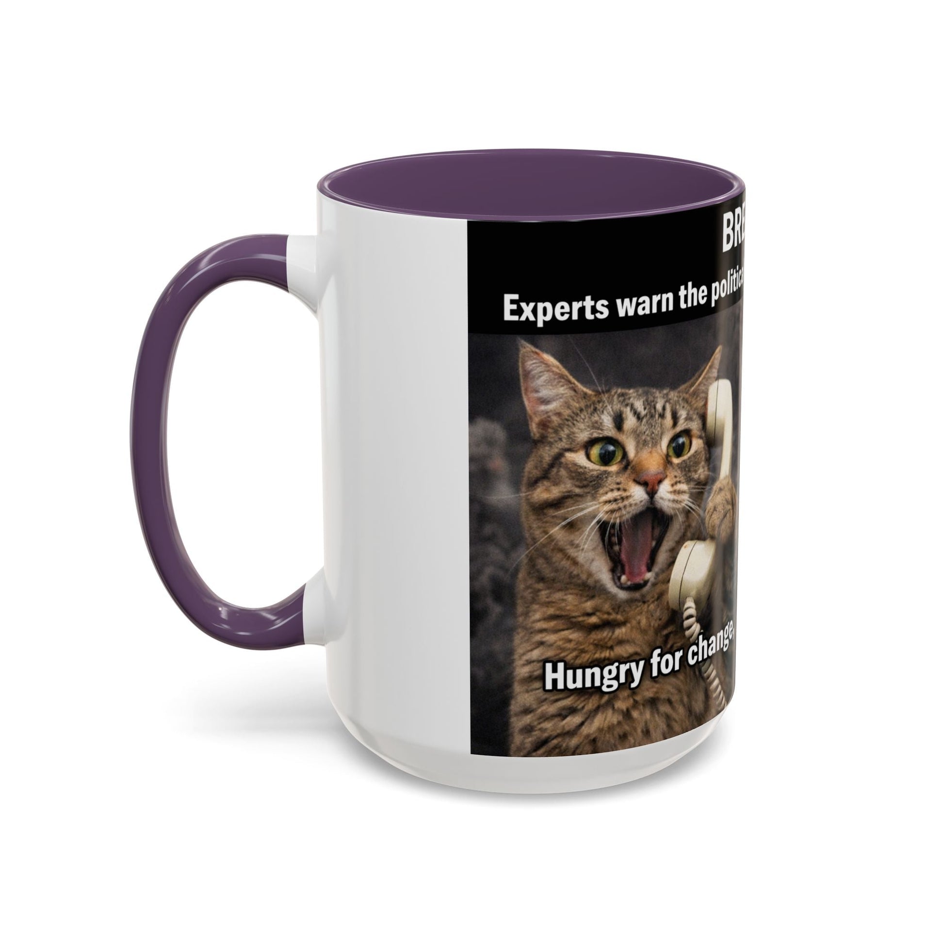 Coffee Mug - Funny Cat ‘Breaking: Politics Are Just Déjà Vu’ Meme Accent Mug (11/15oz) - FloofChonk