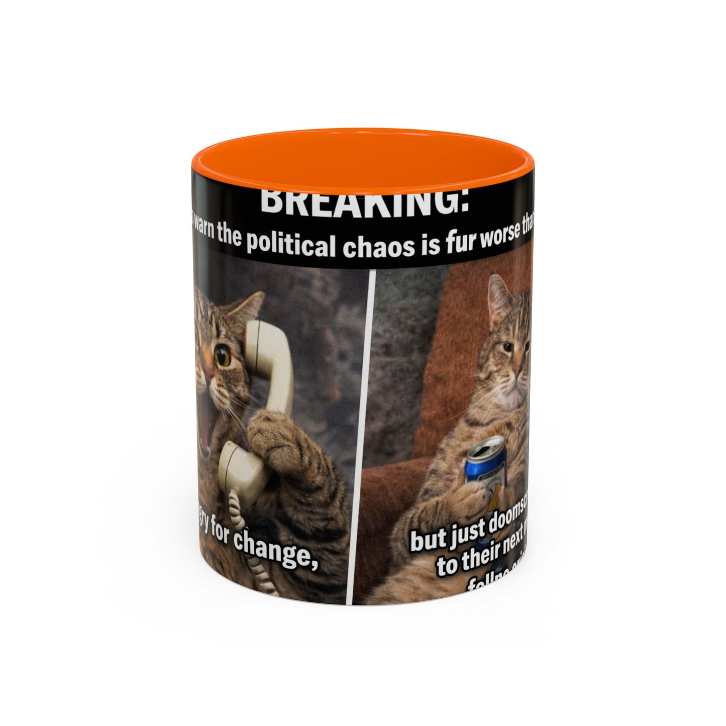 Coffee Mug - Funny Cat ‘Breaking: Politics Are Just Déjà Vu’ Meme Accent Mug (11/15oz) - FloofChonk
