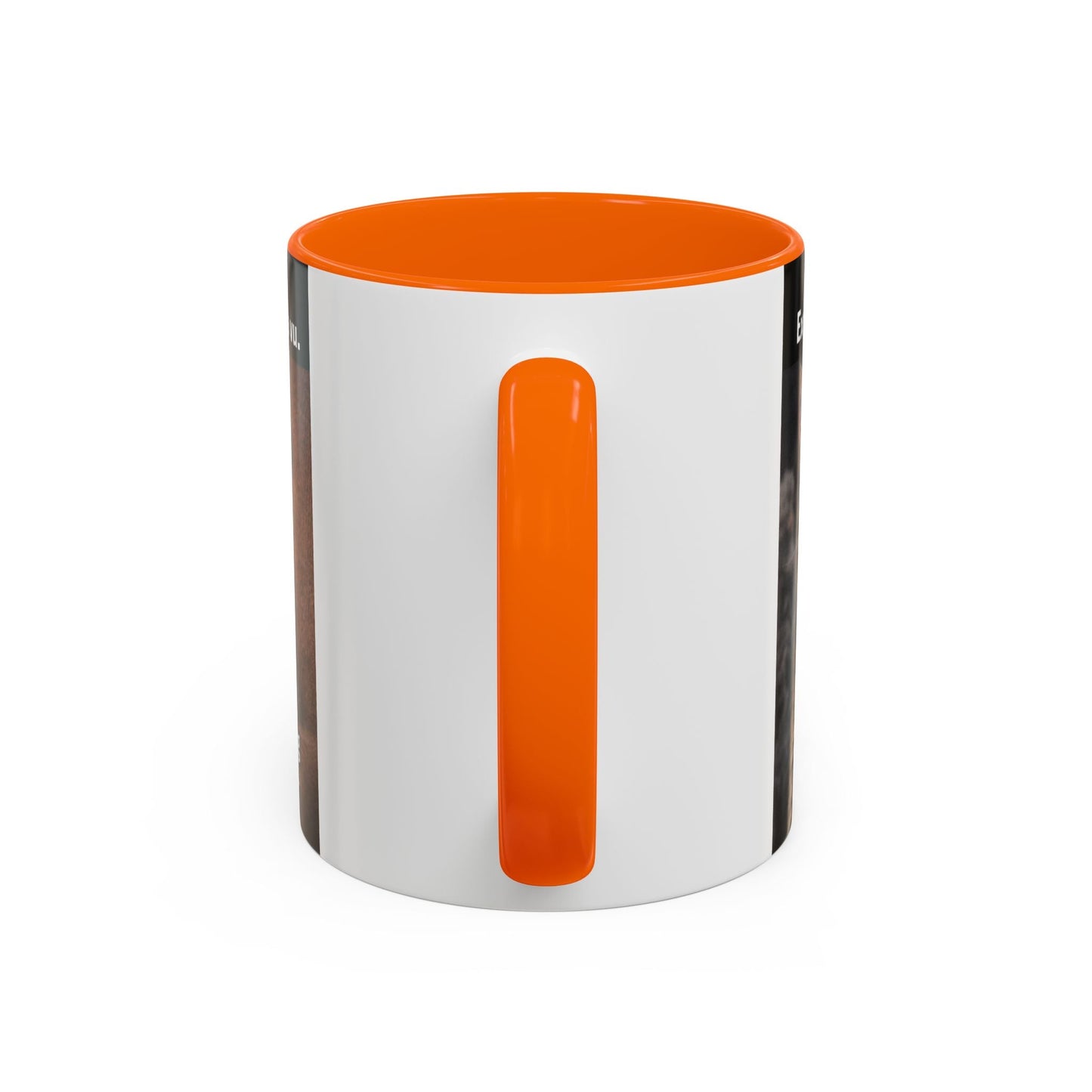 Coffee Mug - Funny Cat ‘Breaking: Politics Are Just Déjà Vu’ Meme Accent Mug (11/15oz) - FloofChonk