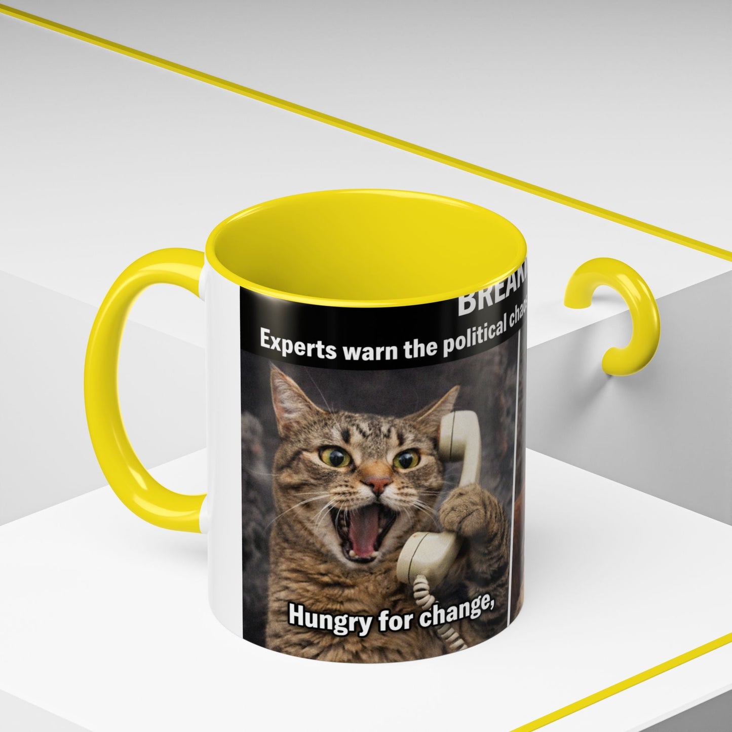 Coffee Mug - Funny Cat ‘Breaking: Politics Are Just Déjà Vu’ Meme Accent Mug (11/15oz) - FloofChonk