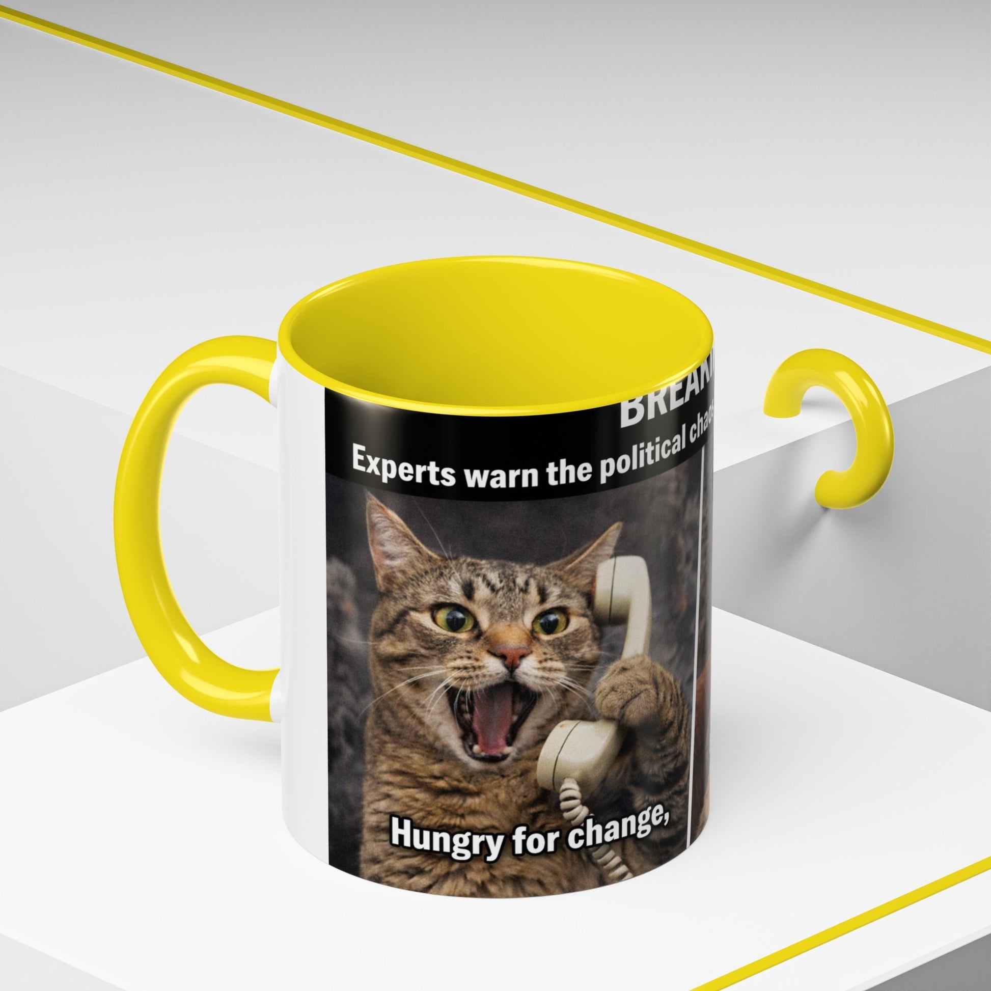 Coffee Mug - Funny Cat ‘Breaking: Politics Are Just Déjà Vu’ Meme Accent Mug (11/15oz) - FloofChonk