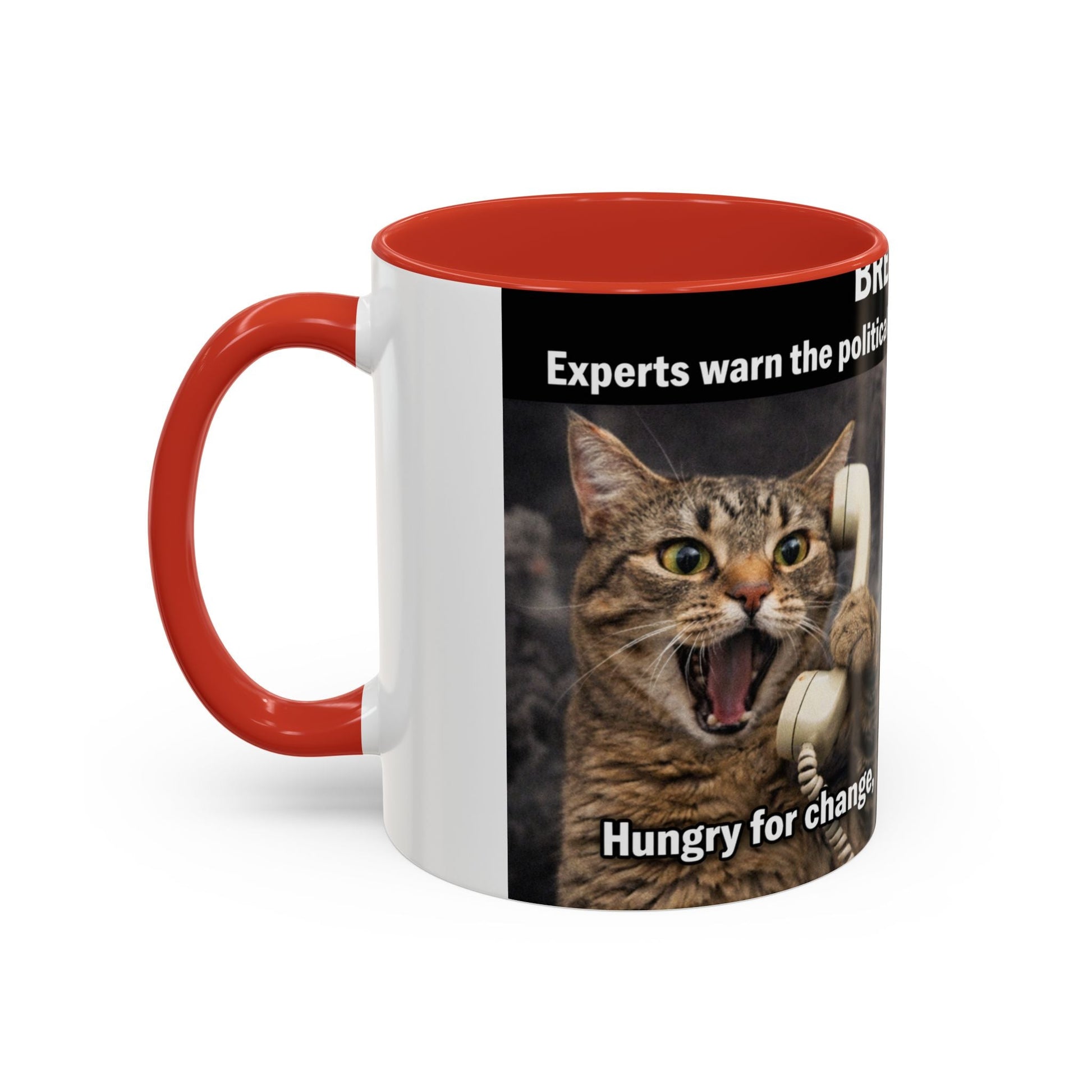 Coffee Mug - Funny Cat ‘Breaking: Politics Are Just Déjà Vu’ Meme Accent Mug (11/15oz) - FloofChonk