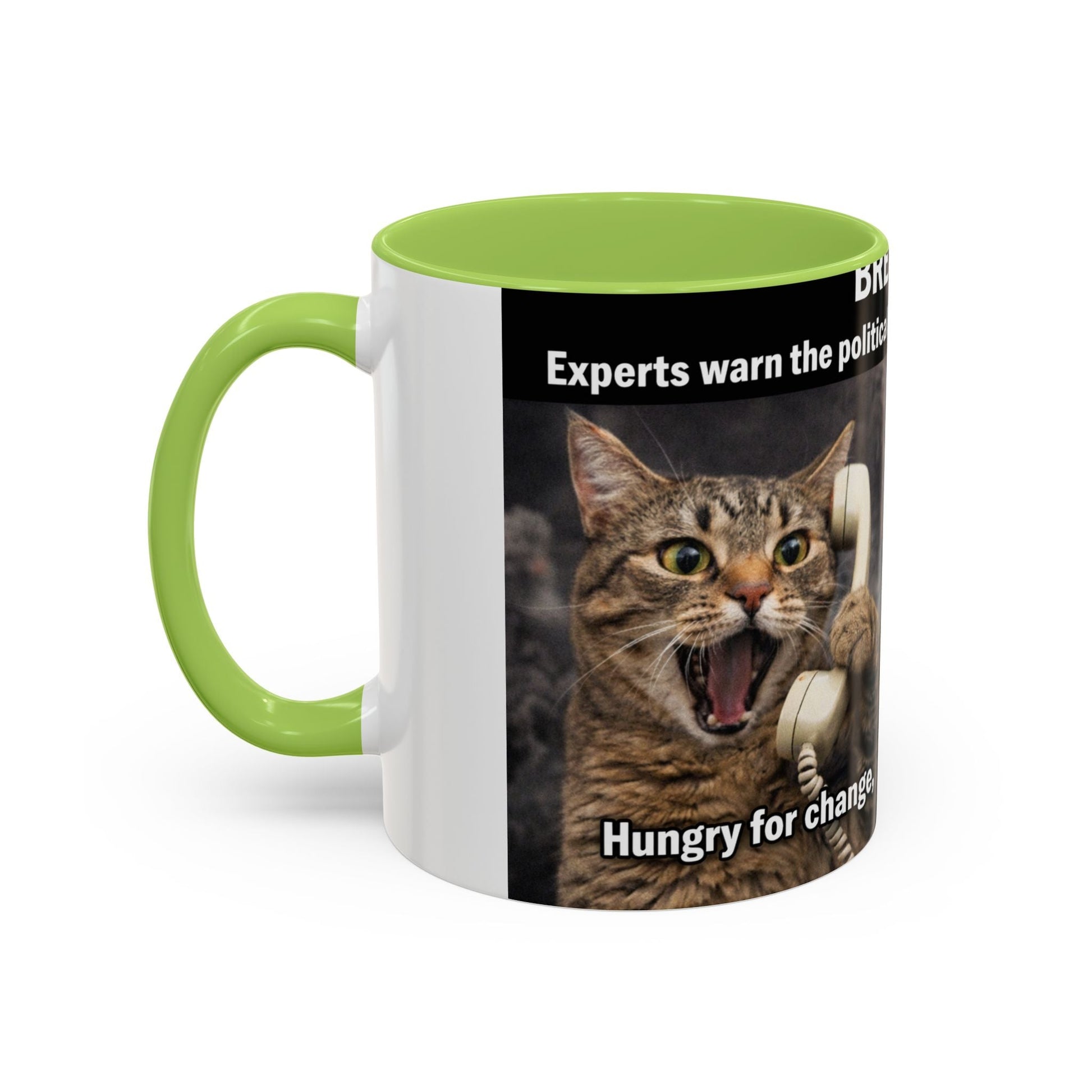 Coffee Mug - Funny Cat ‘Breaking: Politics Are Just Déjà Vu’ Meme Accent Mug (11/15oz) - FloofChonk