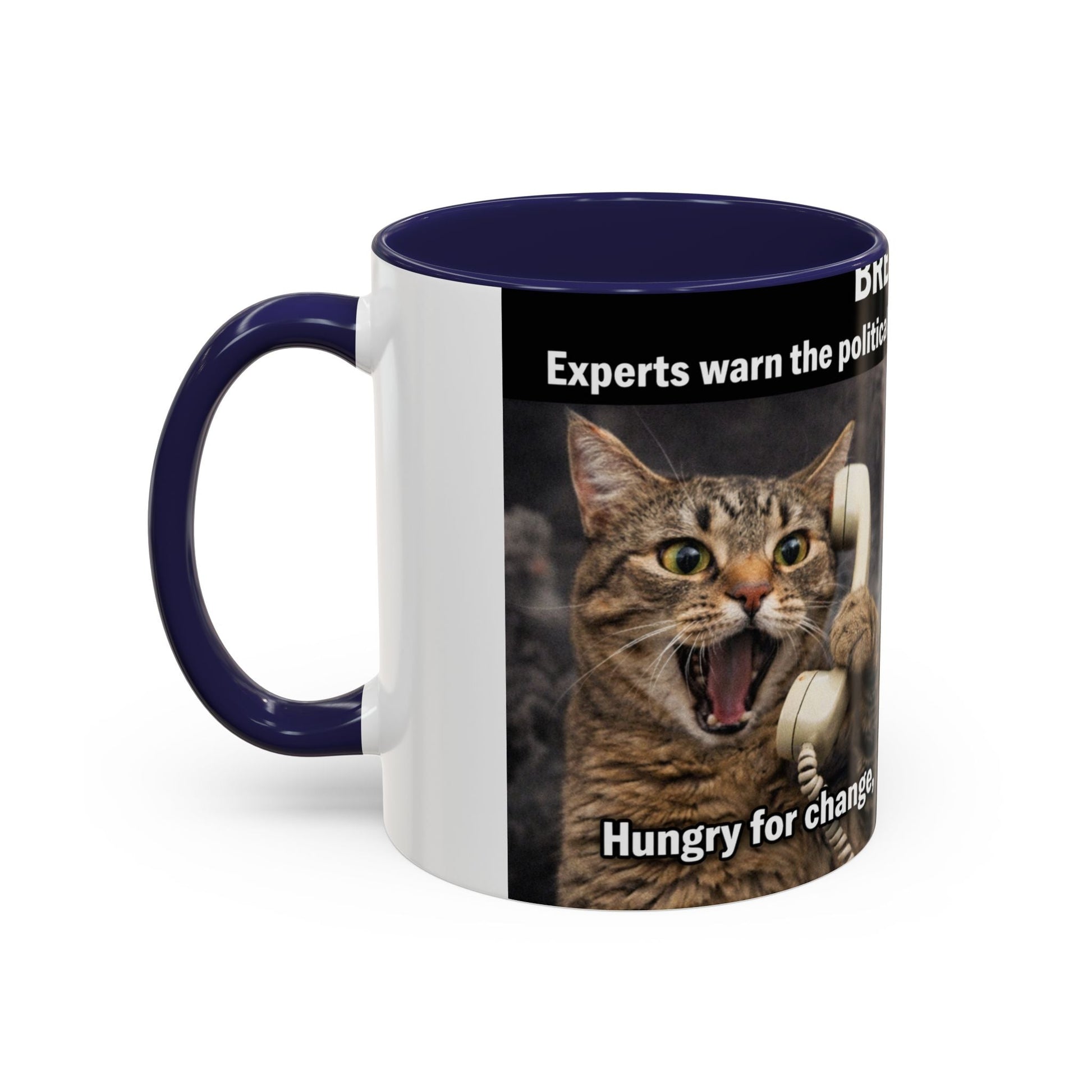 Coffee Mug - Funny Cat ‘Breaking: Politics Are Just Déjà Vu’ Meme Accent Mug (11/15oz) - FloofChonk