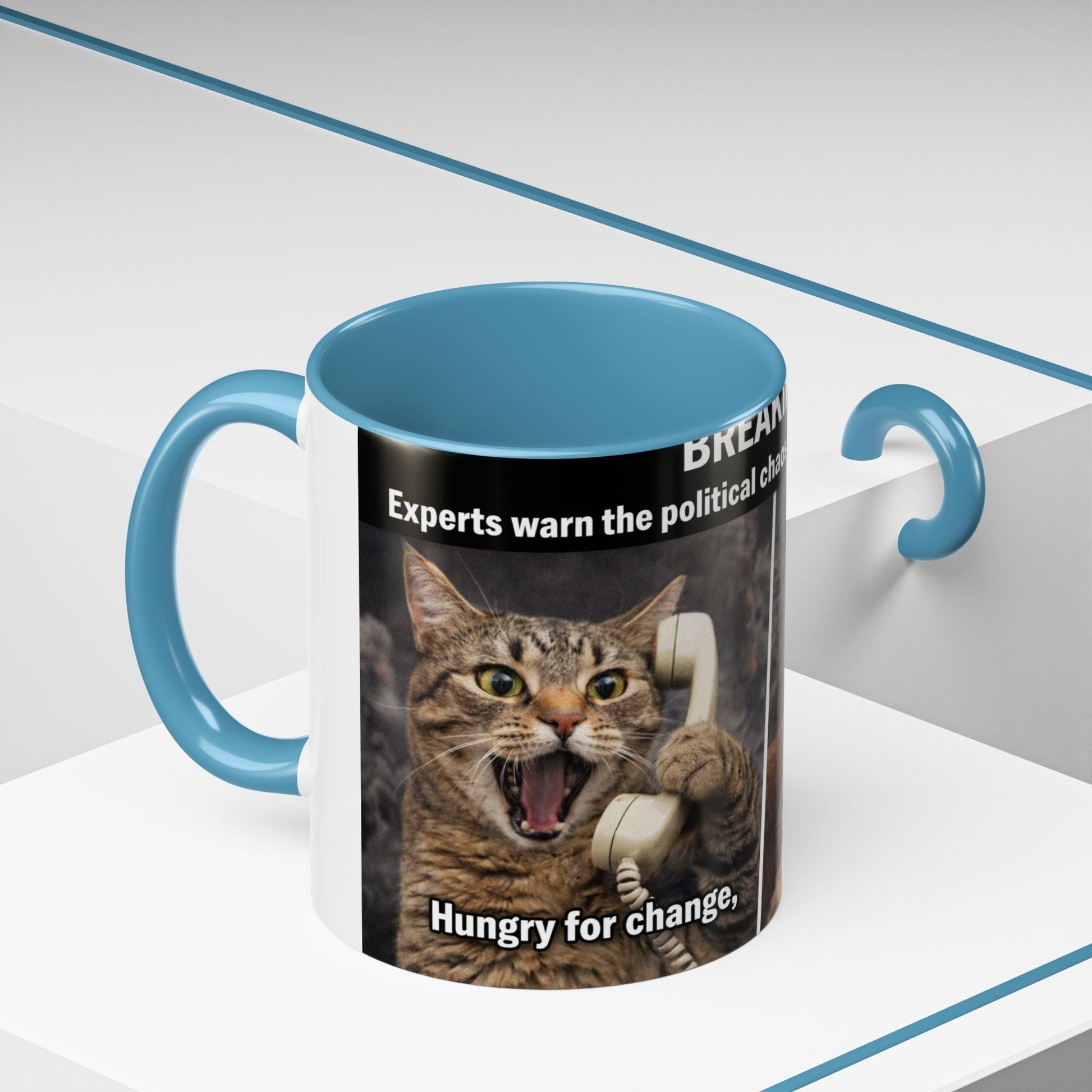 Coffee Mug - Funny Cat ‘Breaking: Politics Are Just Déjà Vu’ Meme Accent Mug (11/15oz) - FloofChonk