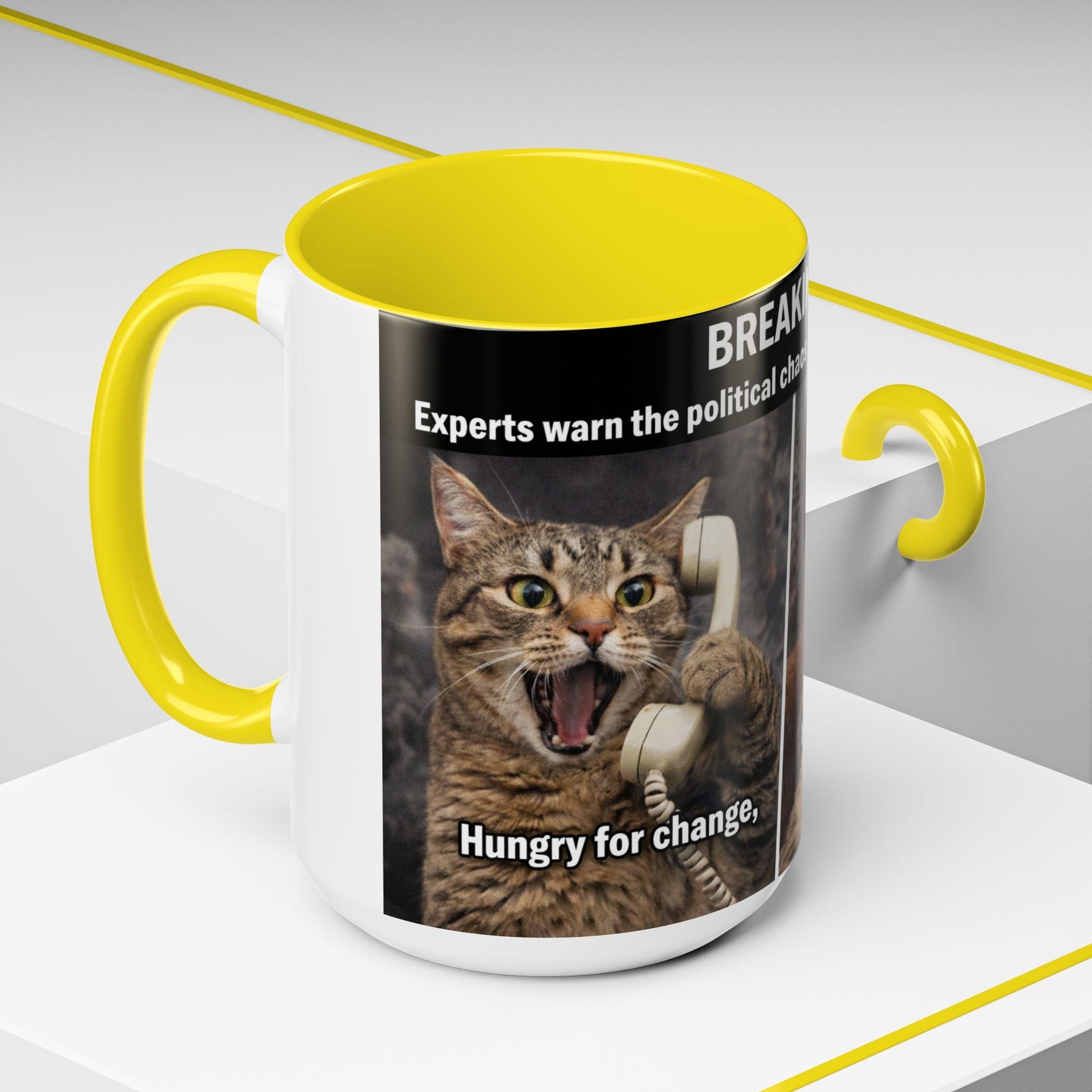 Coffee Mug - Funny Cat ‘Breaking: Politics Are Just Déjà Vu’ Meme Accent Mug (11/15oz) - FloofChonk