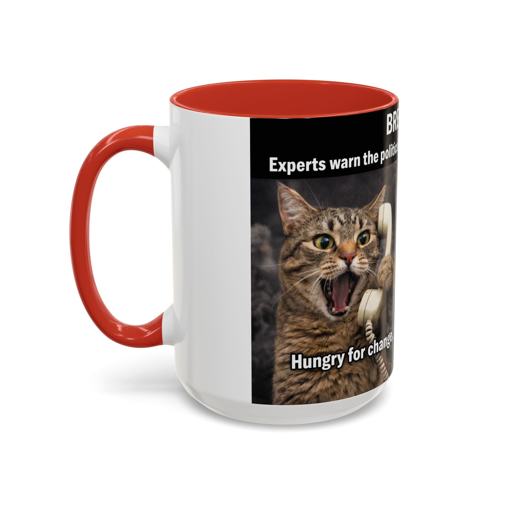 Coffee Mug - Funny Cat ‘Breaking: Politics Are Just Déjà Vu’ Meme Accent Mug (11/15oz) - FloofChonk