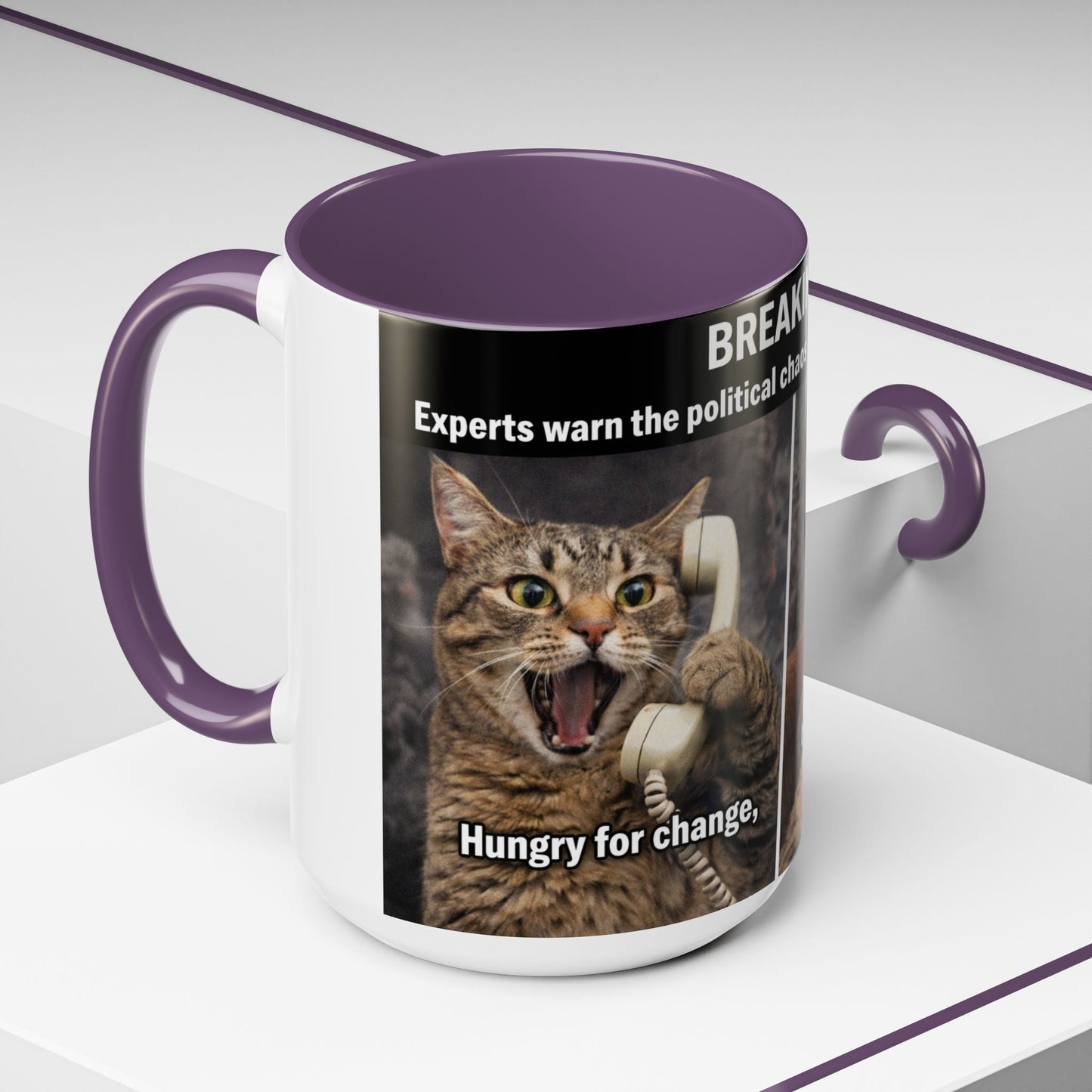 Coffee Mug - Funny Cat ‘Breaking: Politics Are Just Déjà Vu’ Meme Accent Mug (11/15oz) - FloofChonk