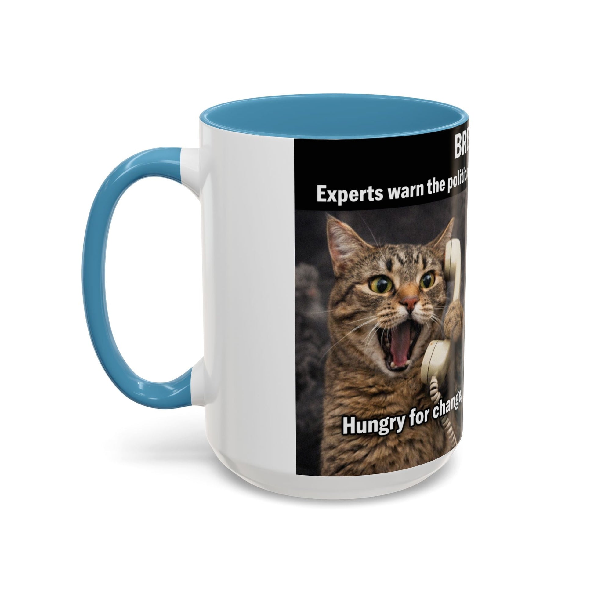 Coffee Mug - Funny Cat ‘Breaking: Politics Are Just Déjà Vu’ Meme Accent Mug (11/15oz) - FloofChonk