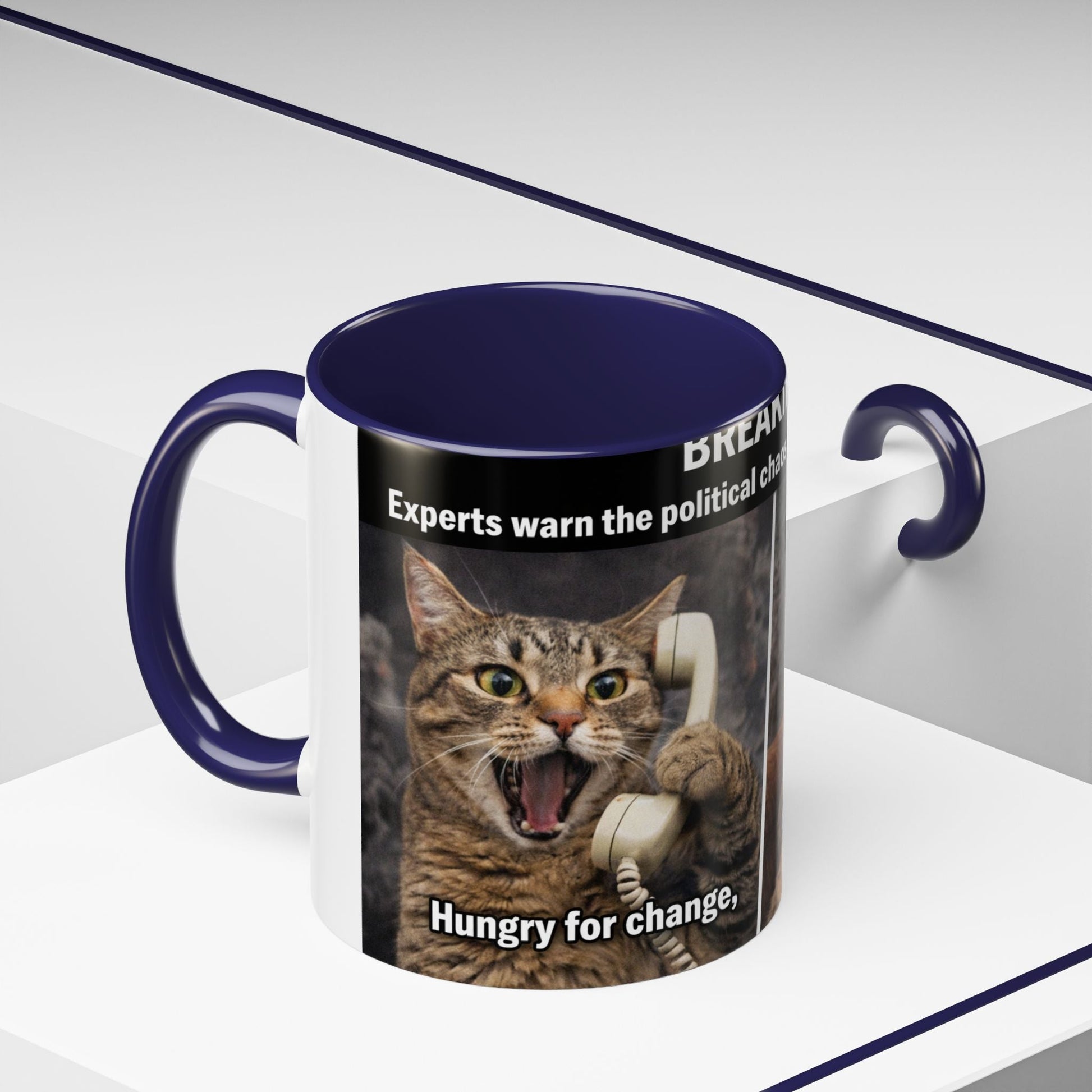 Coffee Mug - Funny Cat ‘Breaking: Politics Are Just Déjà Vu’ Meme Accent Mug (11/15oz) - FloofChonk