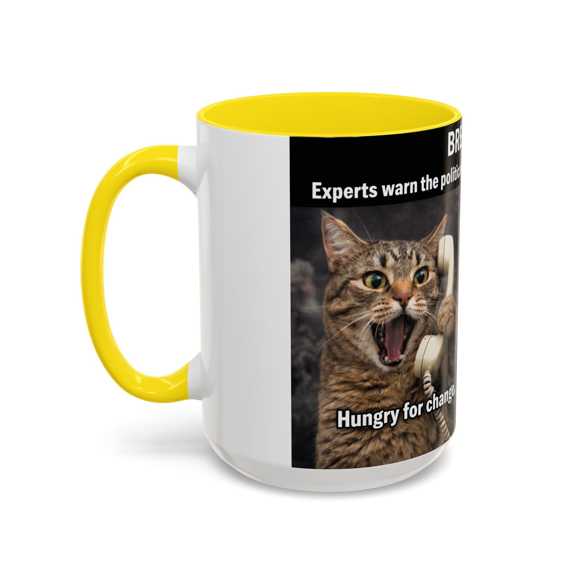 Coffee Mug - Funny Cat ‘Breaking: Politics Are Just Déjà Vu’ Meme Accent Mug (11/15oz) - FloofChonk