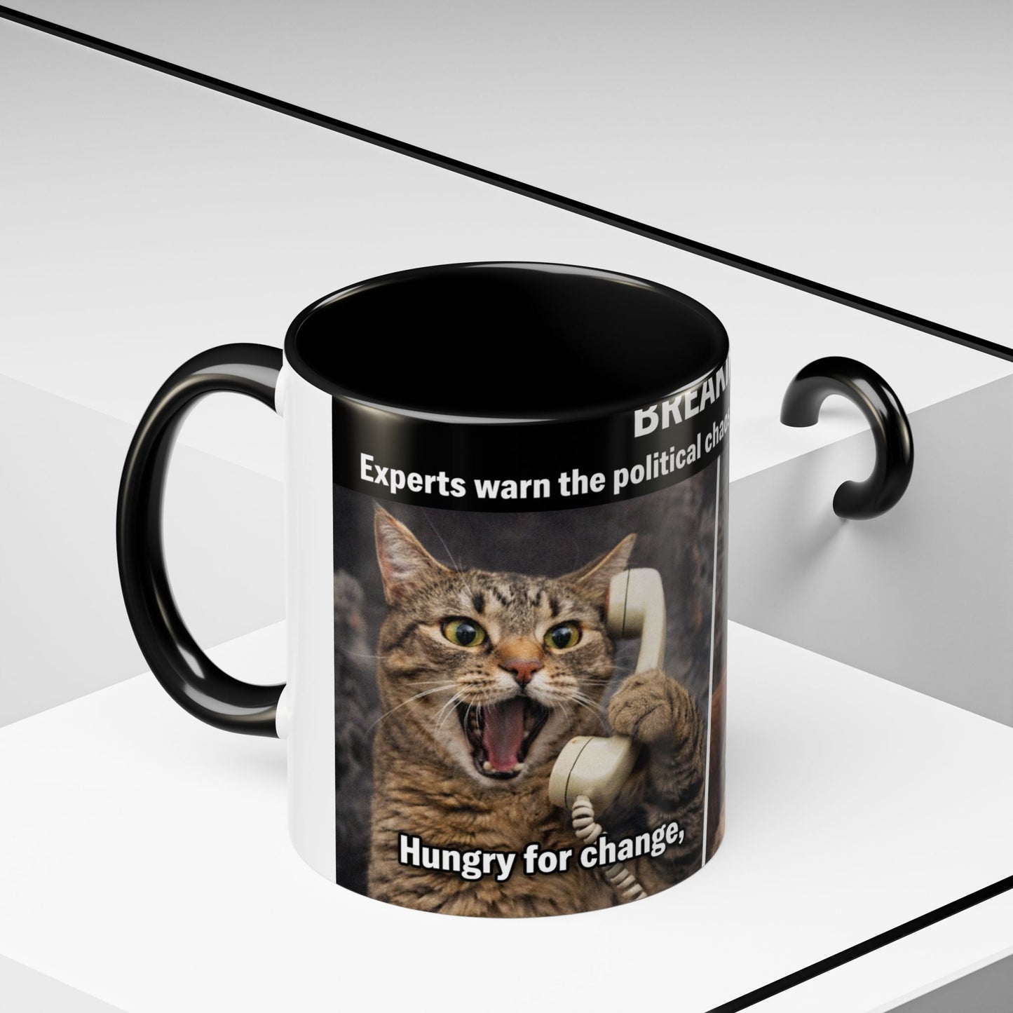 Coffee Mug - Funny Cat ‘Breaking: Politics Are Just Déjà Vu’ Meme Accent Mug (11/15oz) - FloofChonk