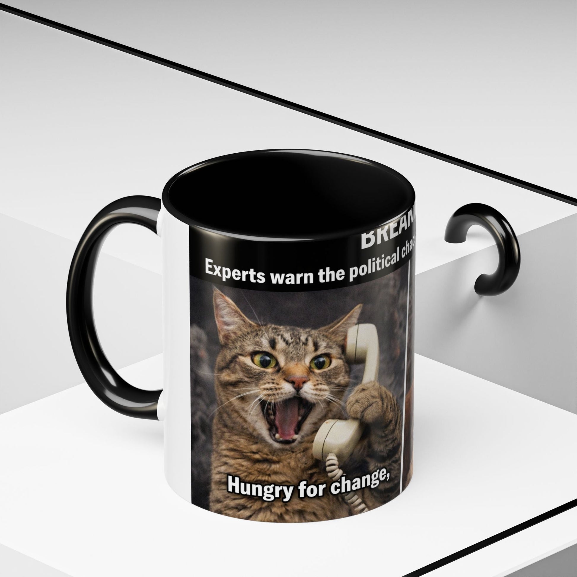 Coffee Mug - Funny Cat ‘Breaking: Politics Are Just Déjà Vu’ Meme Accent Mug (11/15oz) - FloofChonk