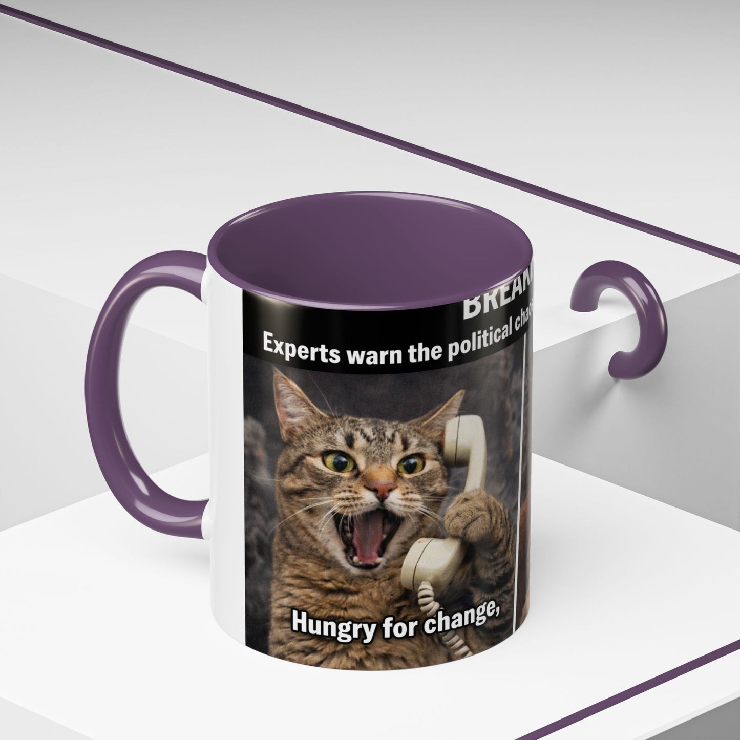 Coffee Mug - Funny Cat ‘Breaking: Politics Are Just Déjà Vu’ Meme Accent Mug (11/15oz) - FloofChonk