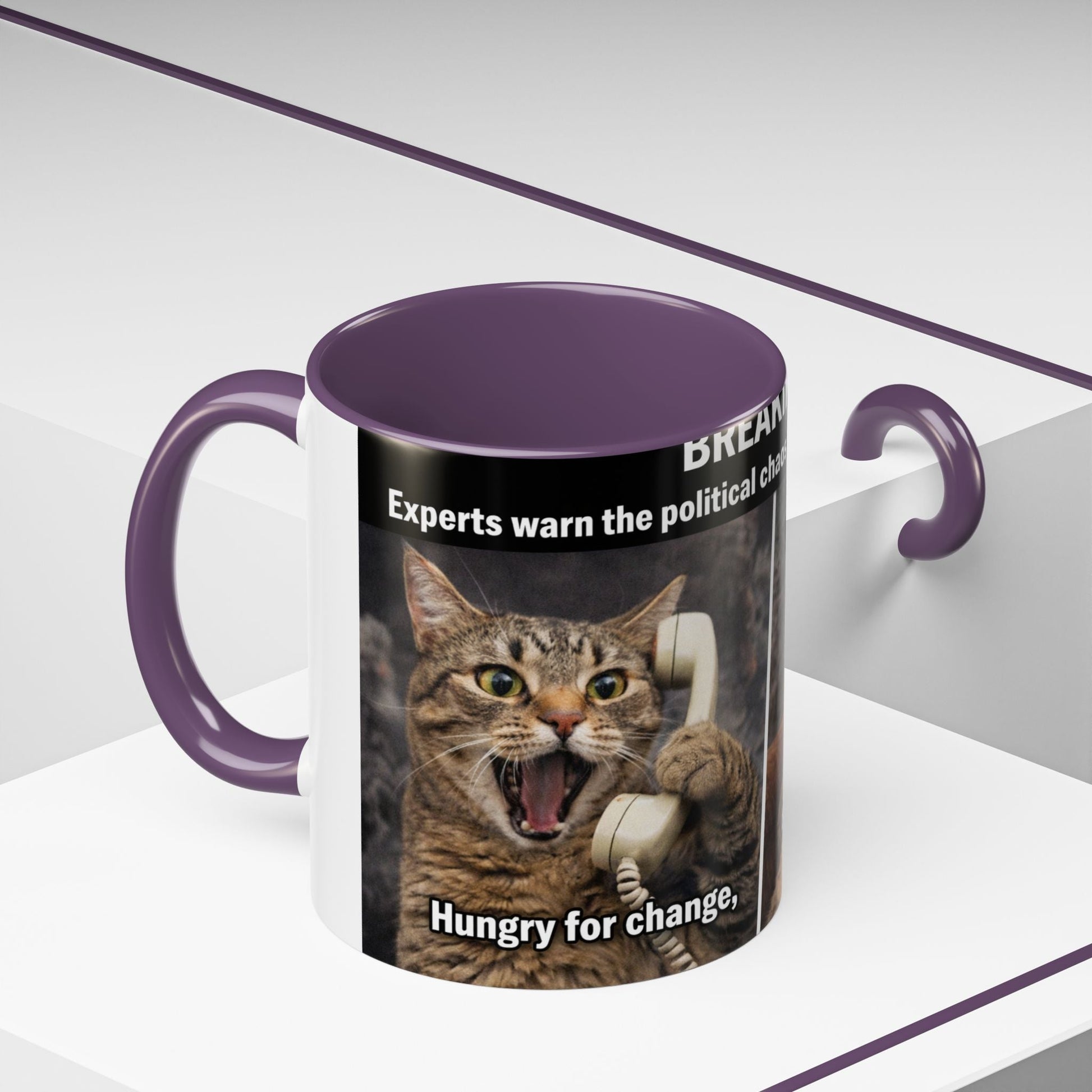 Coffee Mug - Funny Cat ‘Breaking: Politics Are Just Déjà Vu’ Meme Accent Mug (11/15oz) - FloofChonk