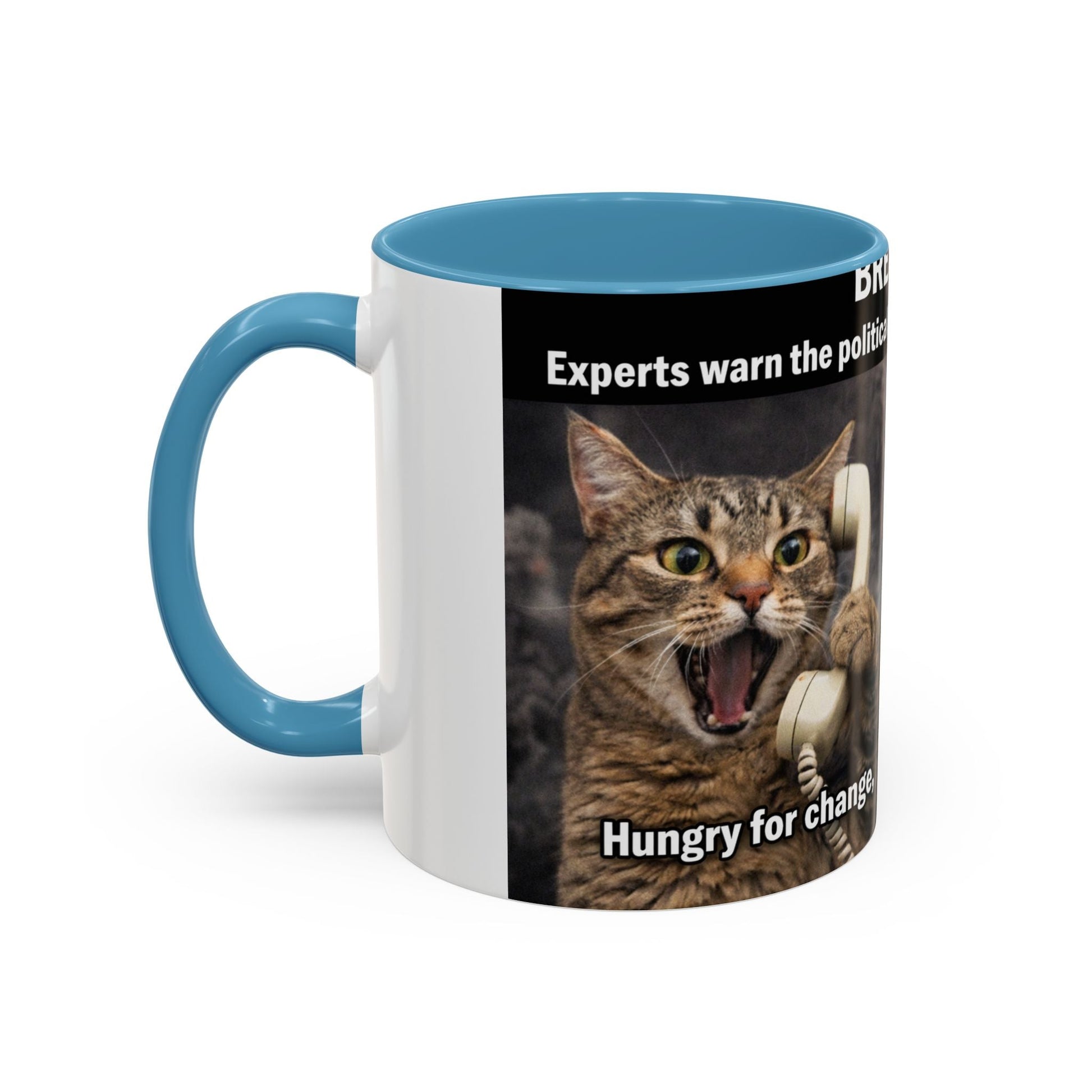 Coffee Mug - Funny Cat ‘Breaking: Politics Are Just Déjà Vu’ Meme Accent Mug (11/15oz) - FloofChonk