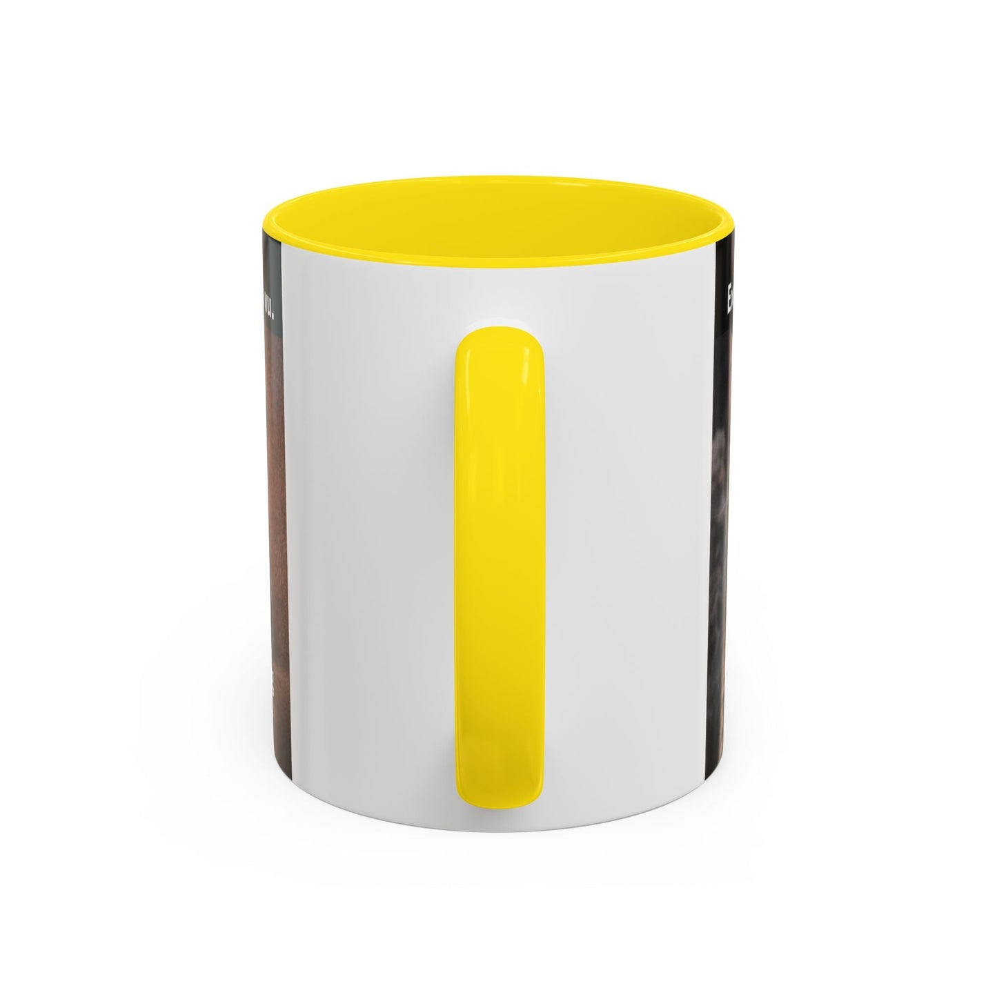 Coffee Mug - Funny Cat ‘Breaking: Politics Are Just Déjà Vu’ Meme Accent Mug (11/15oz) - FloofChonk