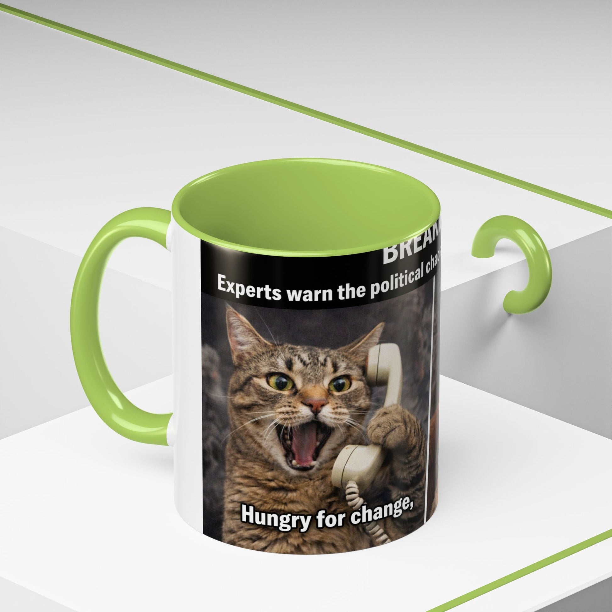 Coffee Mug - Funny Cat ‘Breaking: Politics Are Just Déjà Vu’ Meme Accent Mug (11/15oz) - FloofChonk