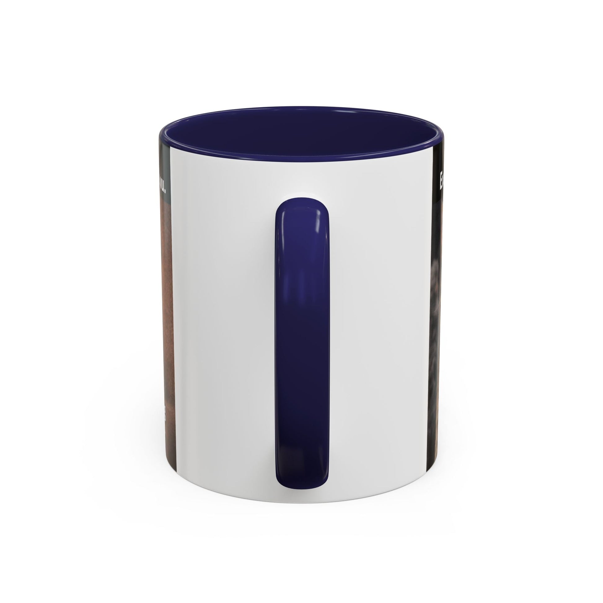 Coffee Mug - Funny Cat ‘Breaking: Politics Are Just Déjà Vu’ Meme Accent Mug (11/15oz) - FloofChonk