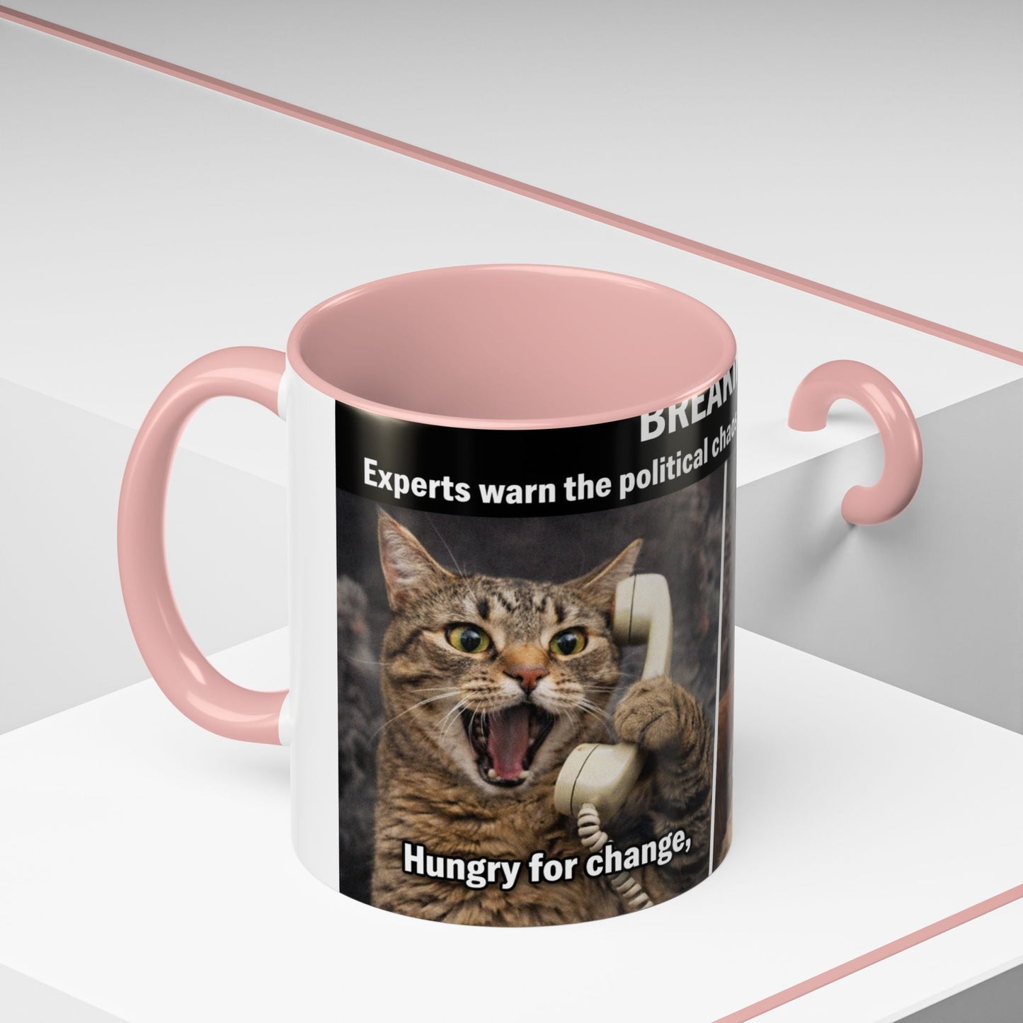 Coffee Mug - Funny Cat ‘Breaking: Politics Are Just Déjà Vu’ Meme Accent Mug (11/15oz) - FloofChonk