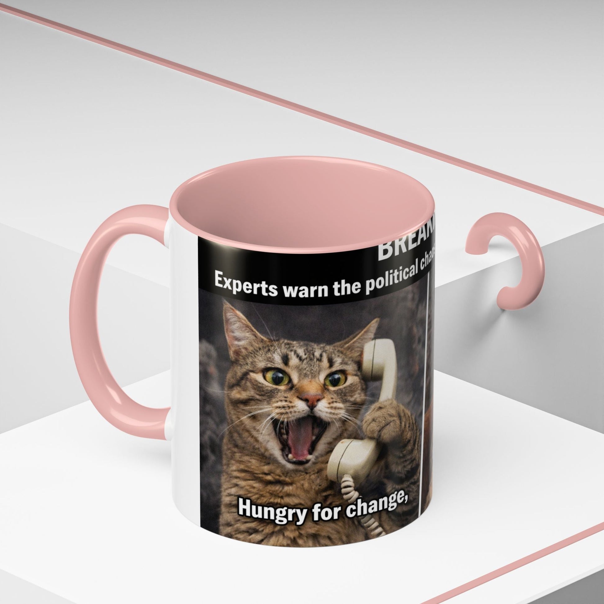 Coffee Mug - Funny Cat ‘Breaking: Politics Are Just Déjà Vu’ Meme Accent Mug (11/15oz) - FloofChonk