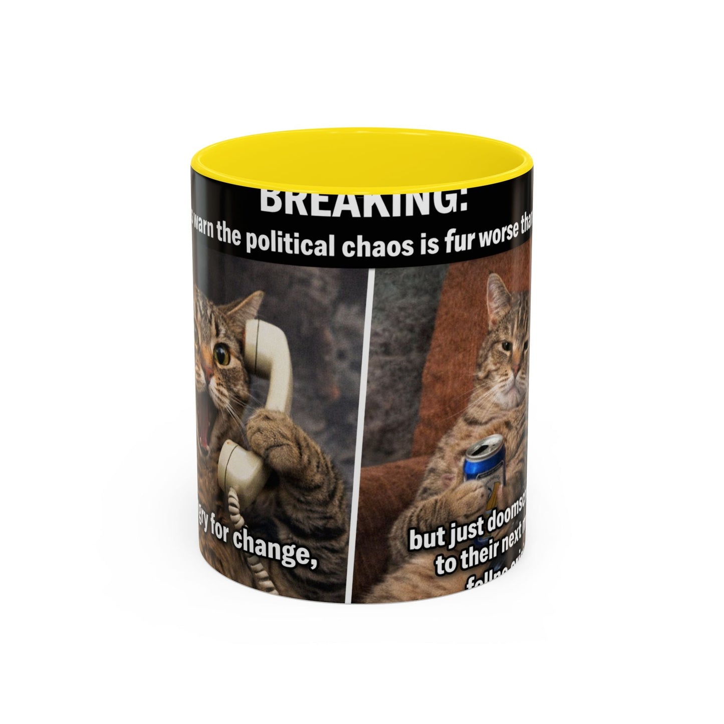 Coffee Mug - Funny Cat ‘Breaking: Politics Are Just Déjà Vu’ Meme Accent Mug (11/15oz) - FloofChonk