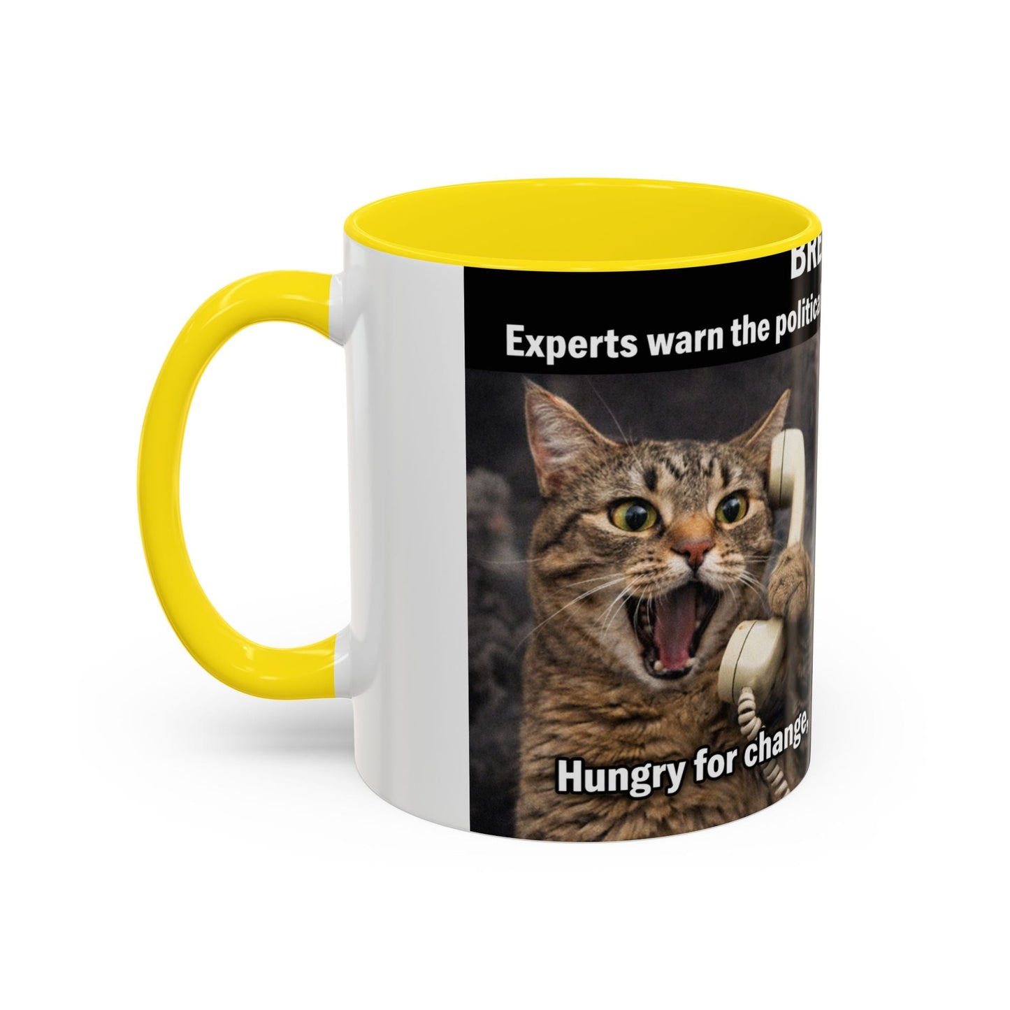 Coffee Mug - Funny Cat ‘Breaking: Politics Are Just Déjà Vu’ Meme Accent Mug (11/15oz) - FloofChonk