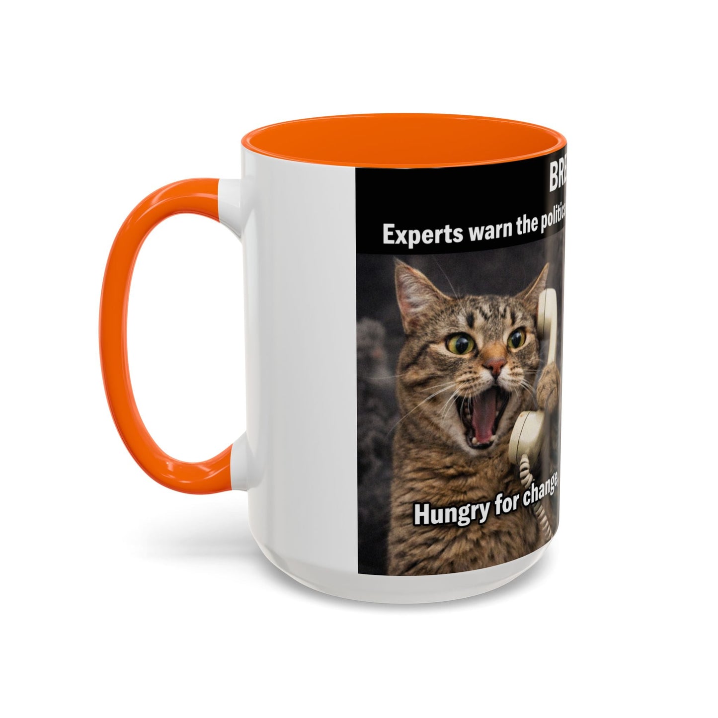 Coffee Mug - Funny Cat ‘Breaking: Politics Are Just Déjà Vu’ Meme Accent Mug (11/15oz) - FloofChonk
