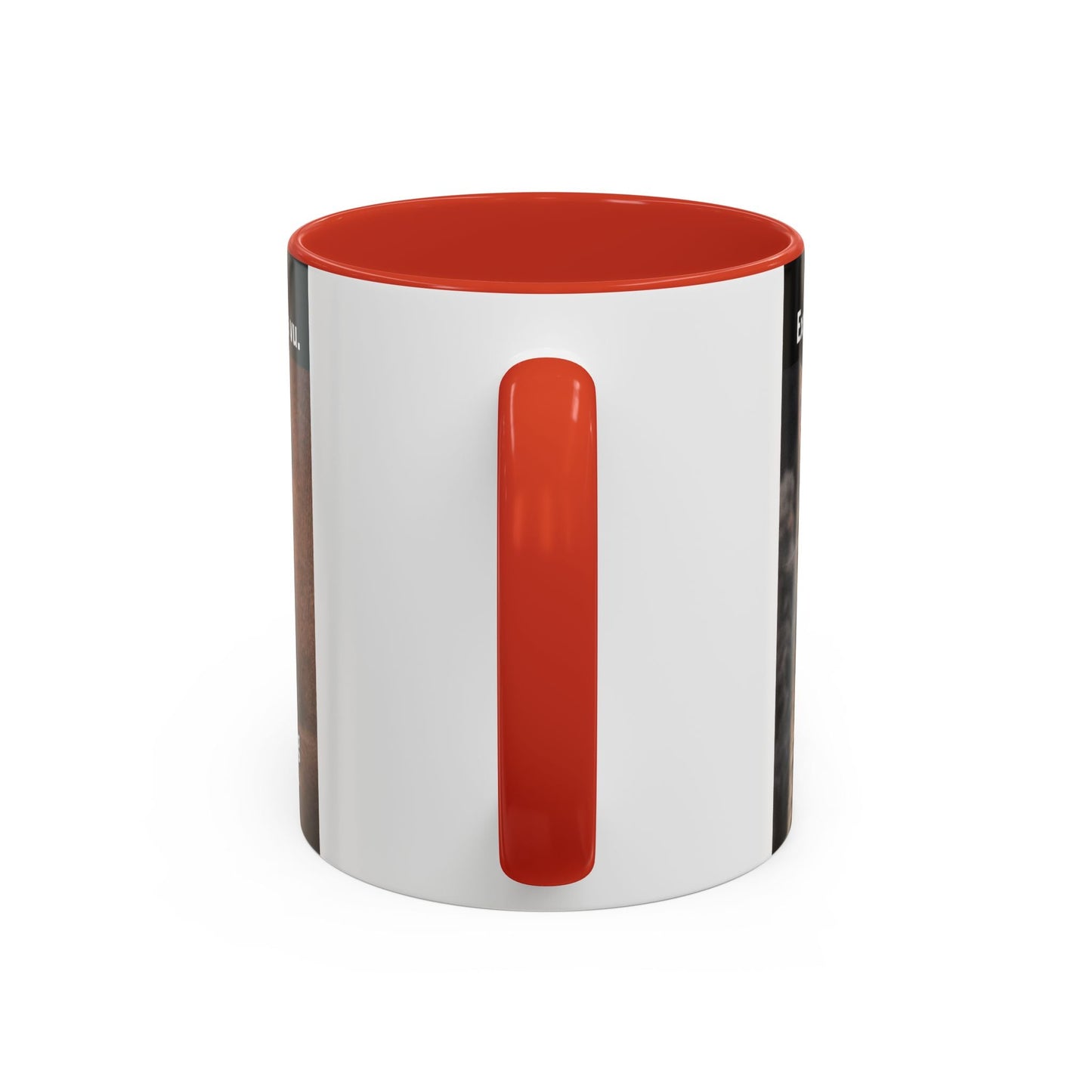 Coffee Mug - Funny Cat ‘Breaking: Politics Are Just Déjà Vu’ Meme Accent Mug (11/15oz) - FloofChonk