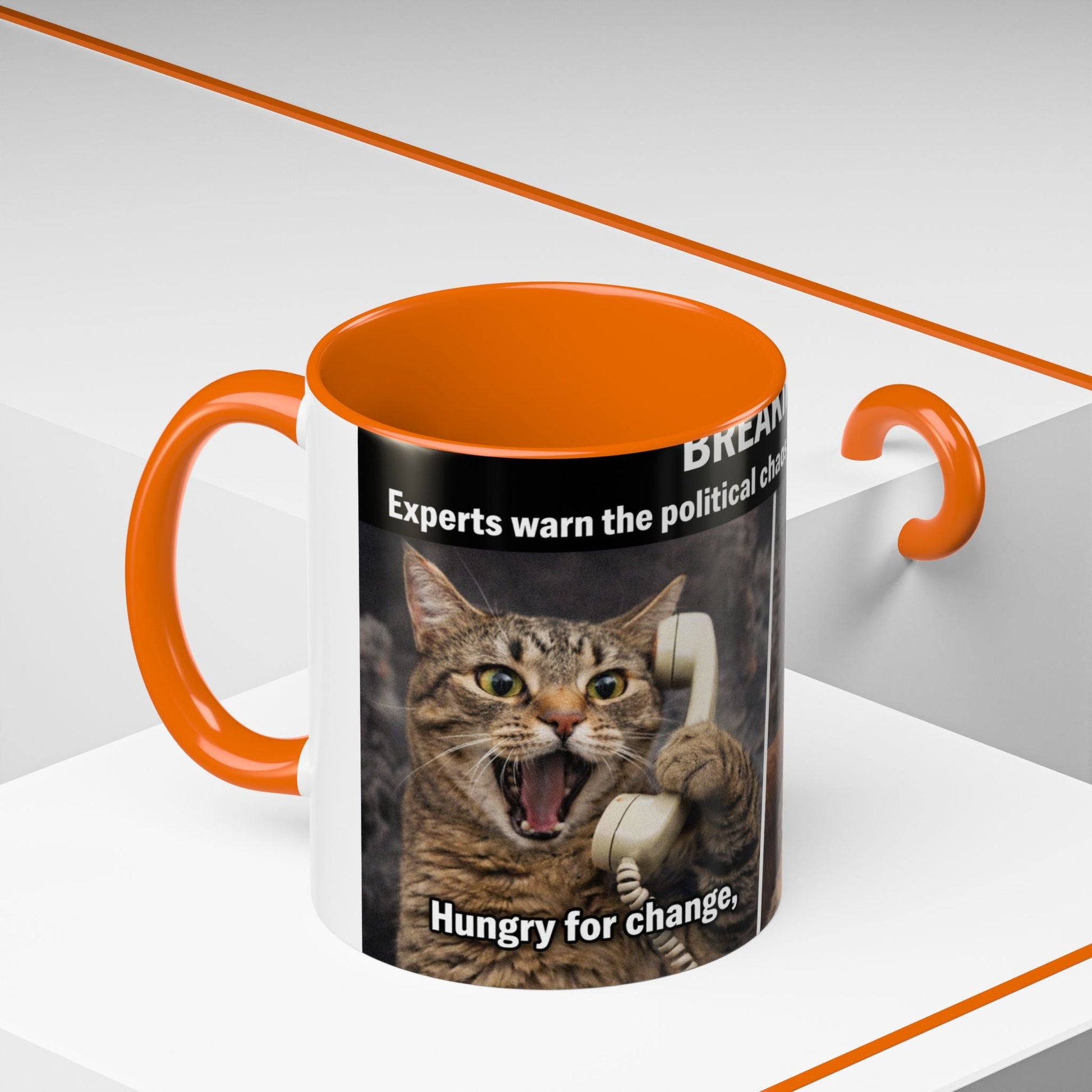 Coffee Mug - Funny Cat ‘Breaking: Politics Are Just Déjà Vu’ Meme Accent Mug (11/15oz) - FloofChonk