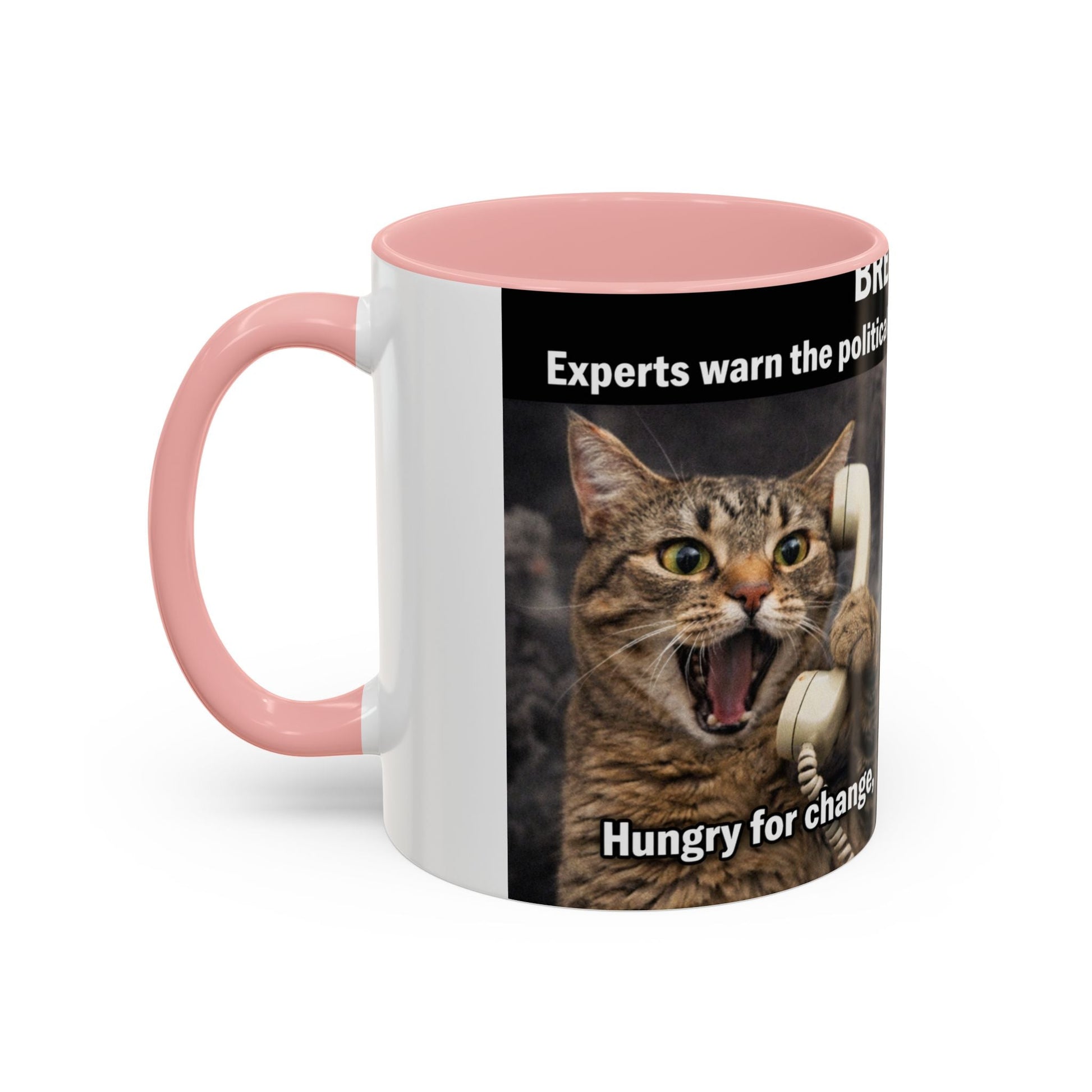 Coffee Mug - Funny Cat ‘Breaking: Politics Are Just Déjà Vu’ Meme Accent Mug (11/15oz) - FloofChonk
